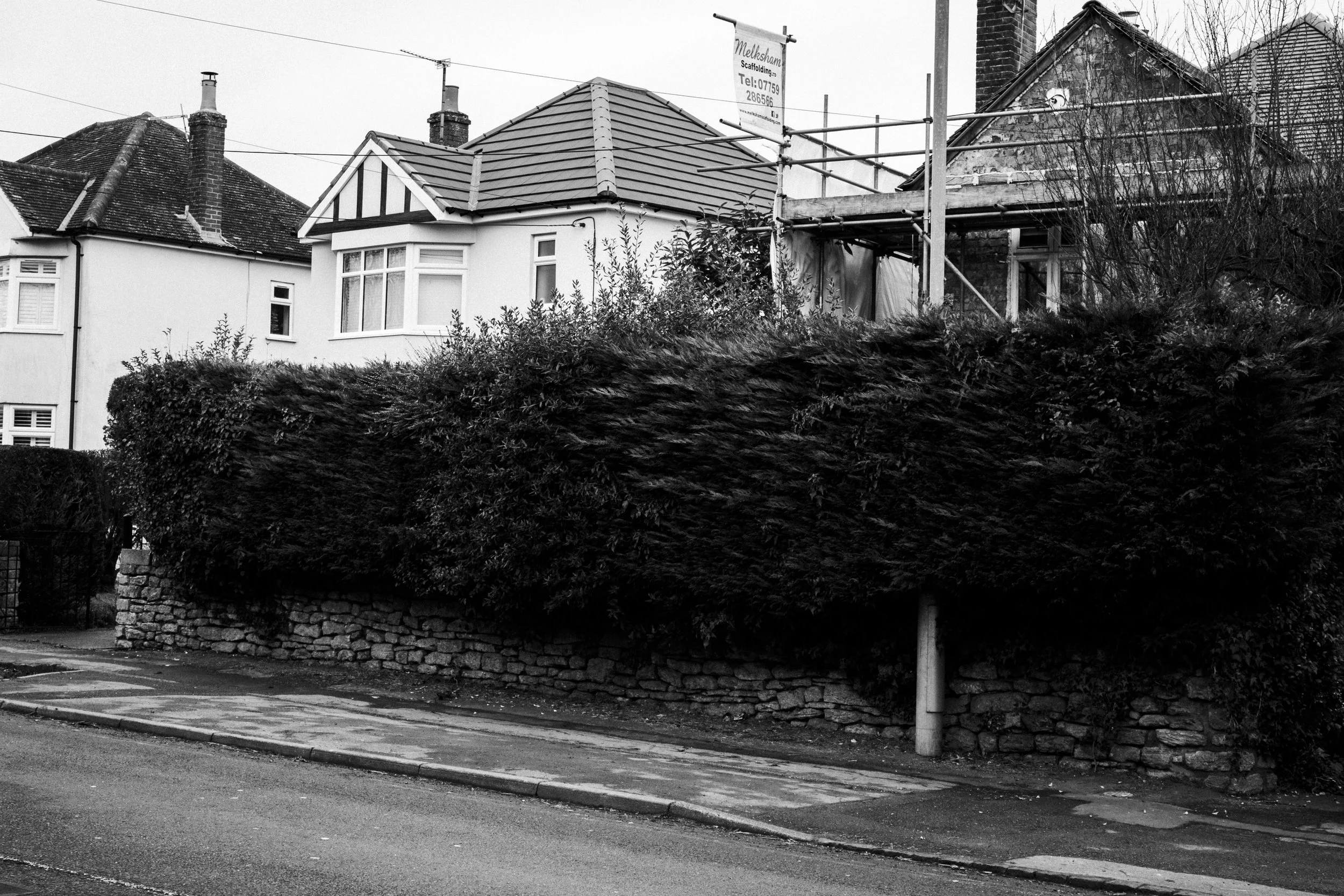 IMG_0246-Enhanced-NR copy.jpg