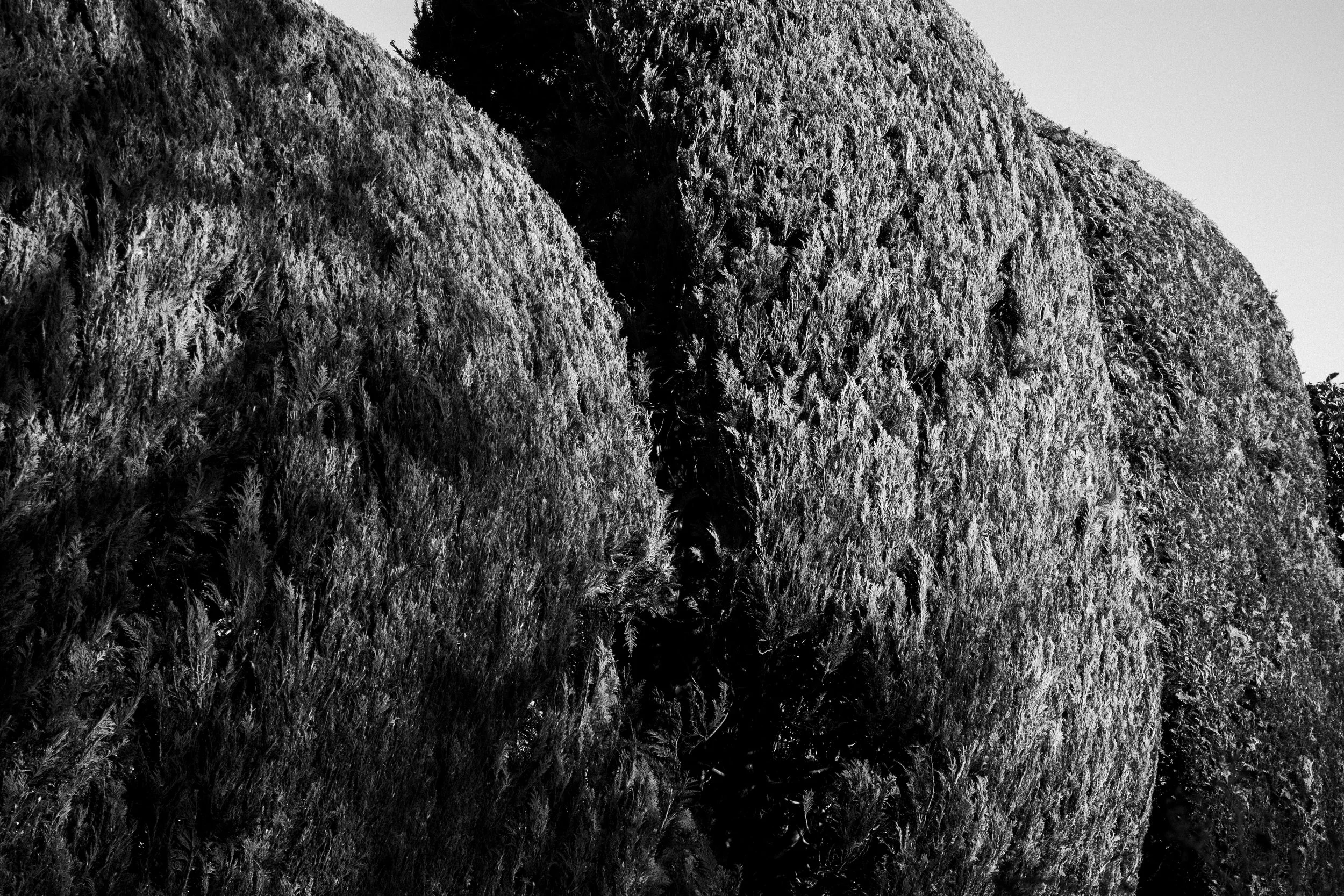 IMG_0349-Enhanced-NR copy.jpg