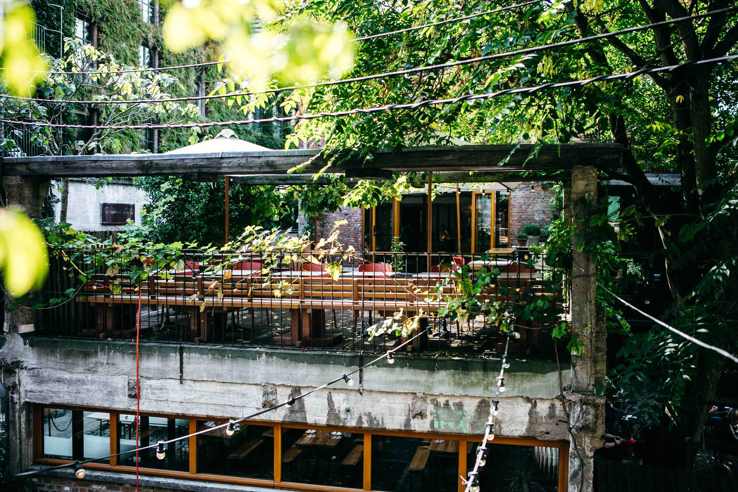 Terras-2.jpg