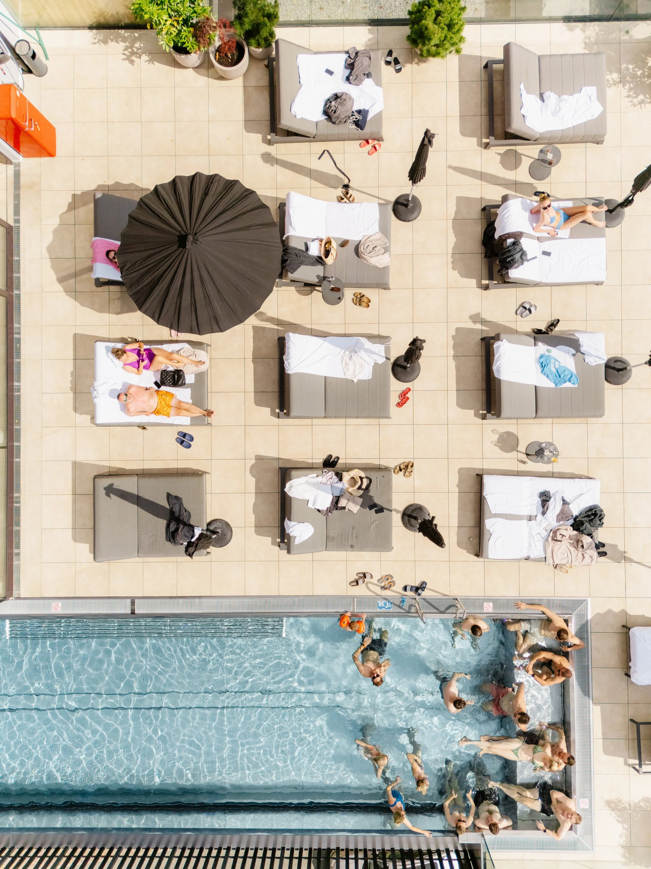 People relaxing and swimming at a rooftop pool with lounge chairs, umbrellas, and potted plants.