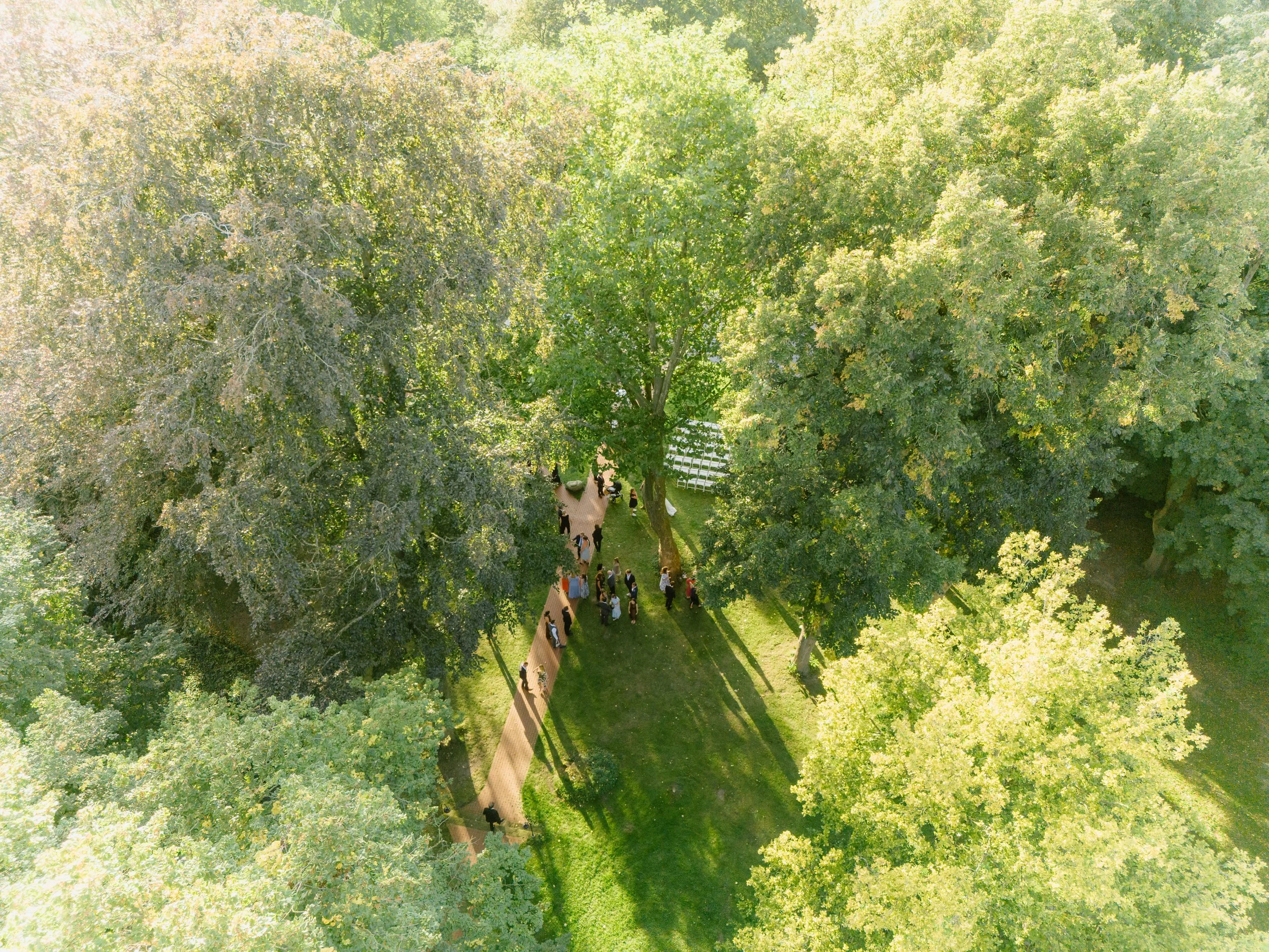 An aerial view of a park with large green trees, a brick pathway, and people walking, enjoying a sunny day.