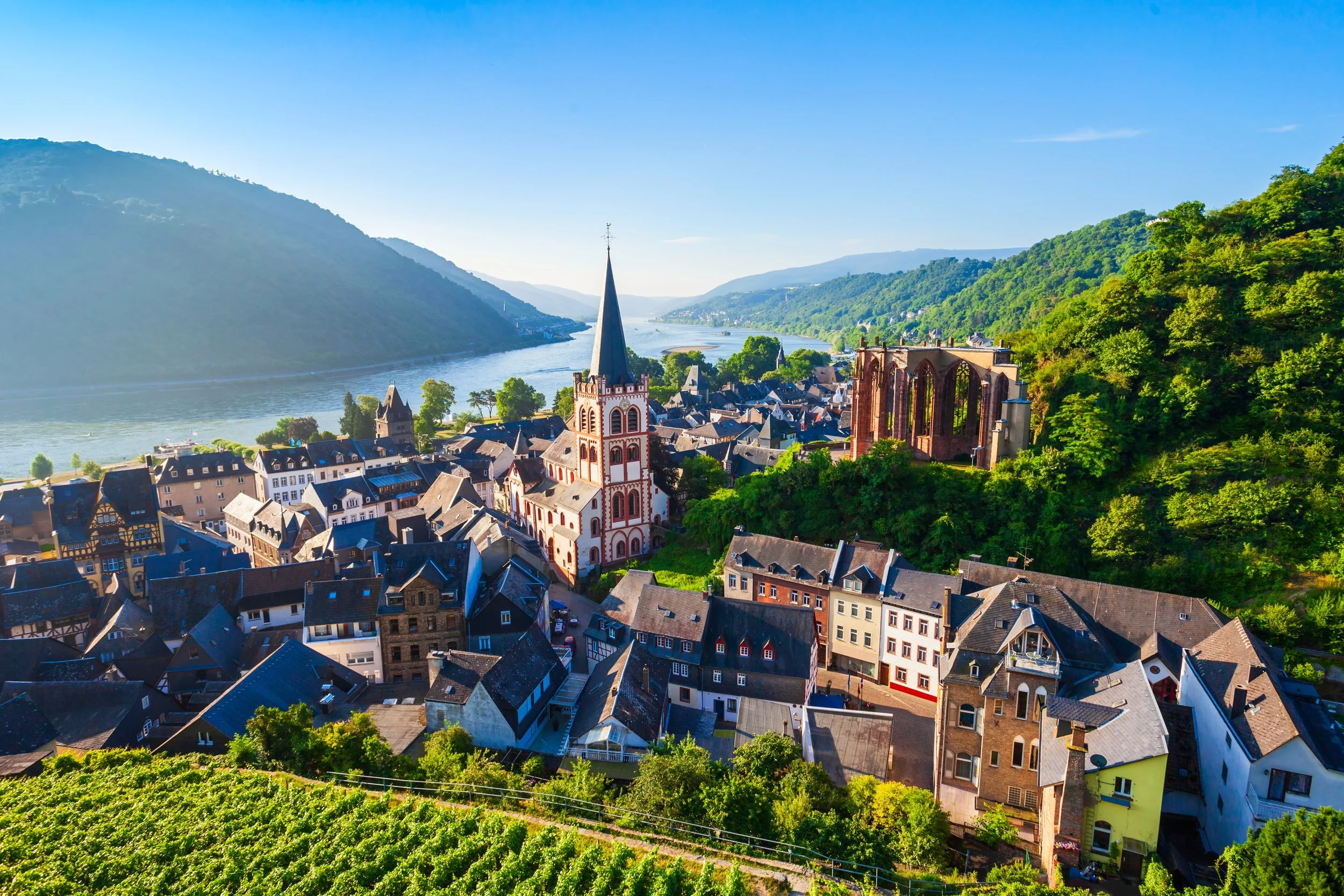 shutterstock_2093024545.jpg