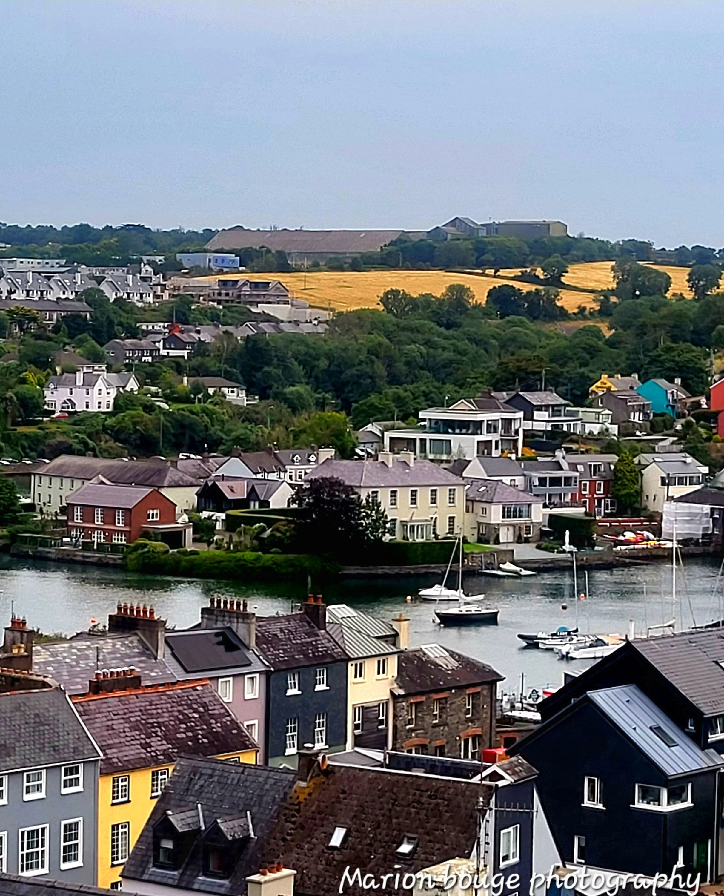 20250726_203915 (1).jpg