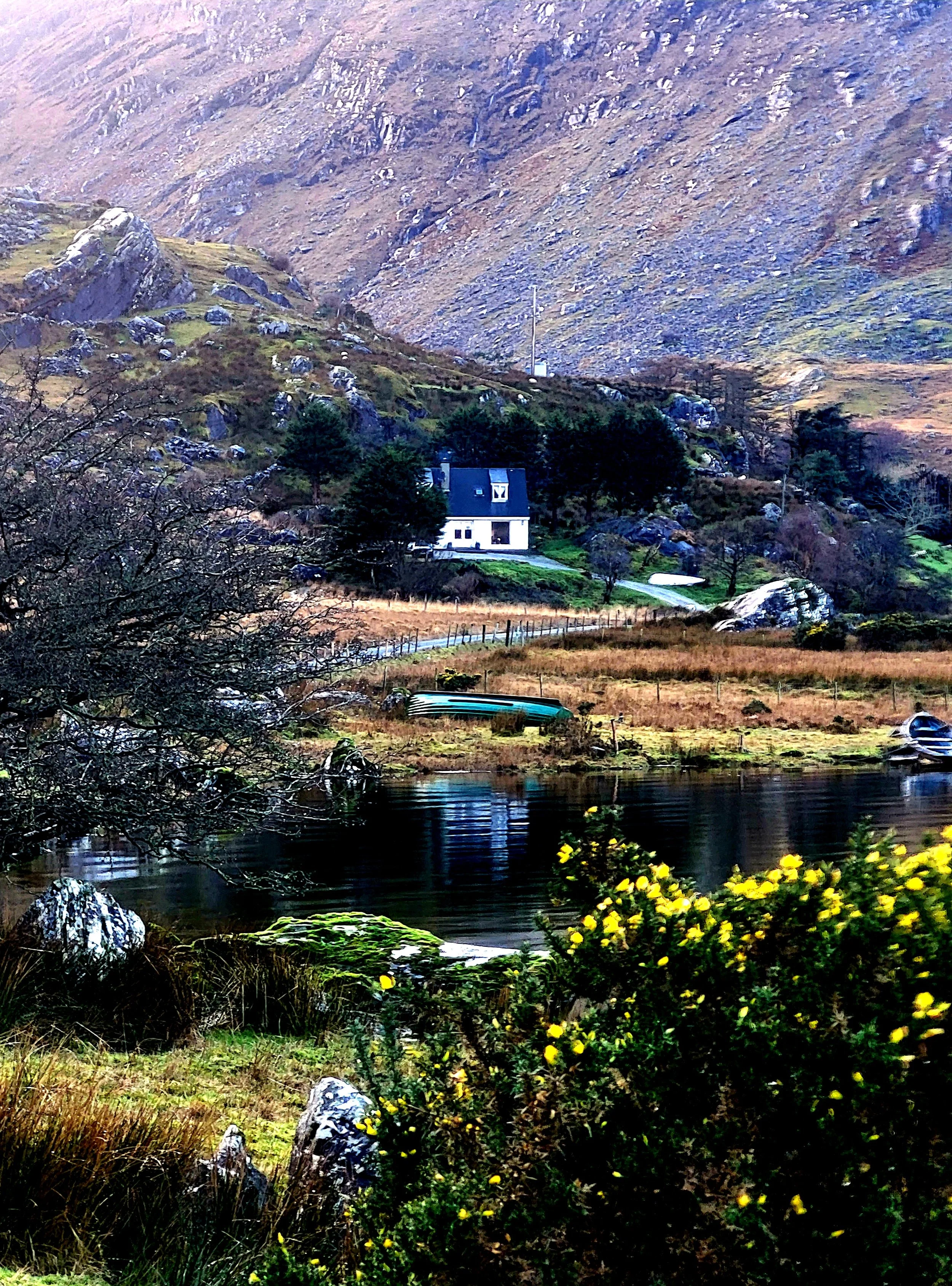 20240211_165121 (1).jpg