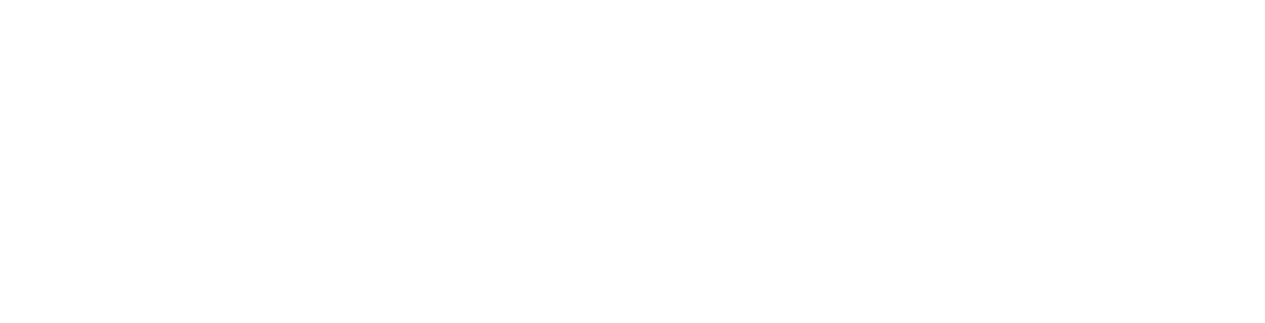 LFF79-CDP-SpecialMention-WHITE-RGB.png