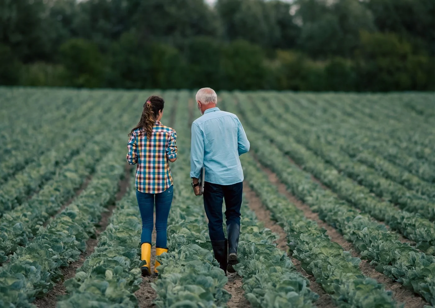 Two people, a woman in yellow boots and a man holding a clipboard, walking through a green field with their backs to the camera.