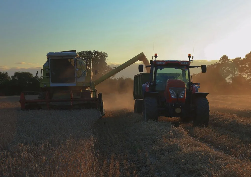 Harvesting crops at sunset