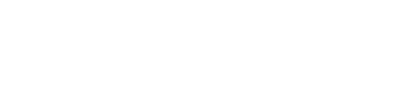 NISA logo