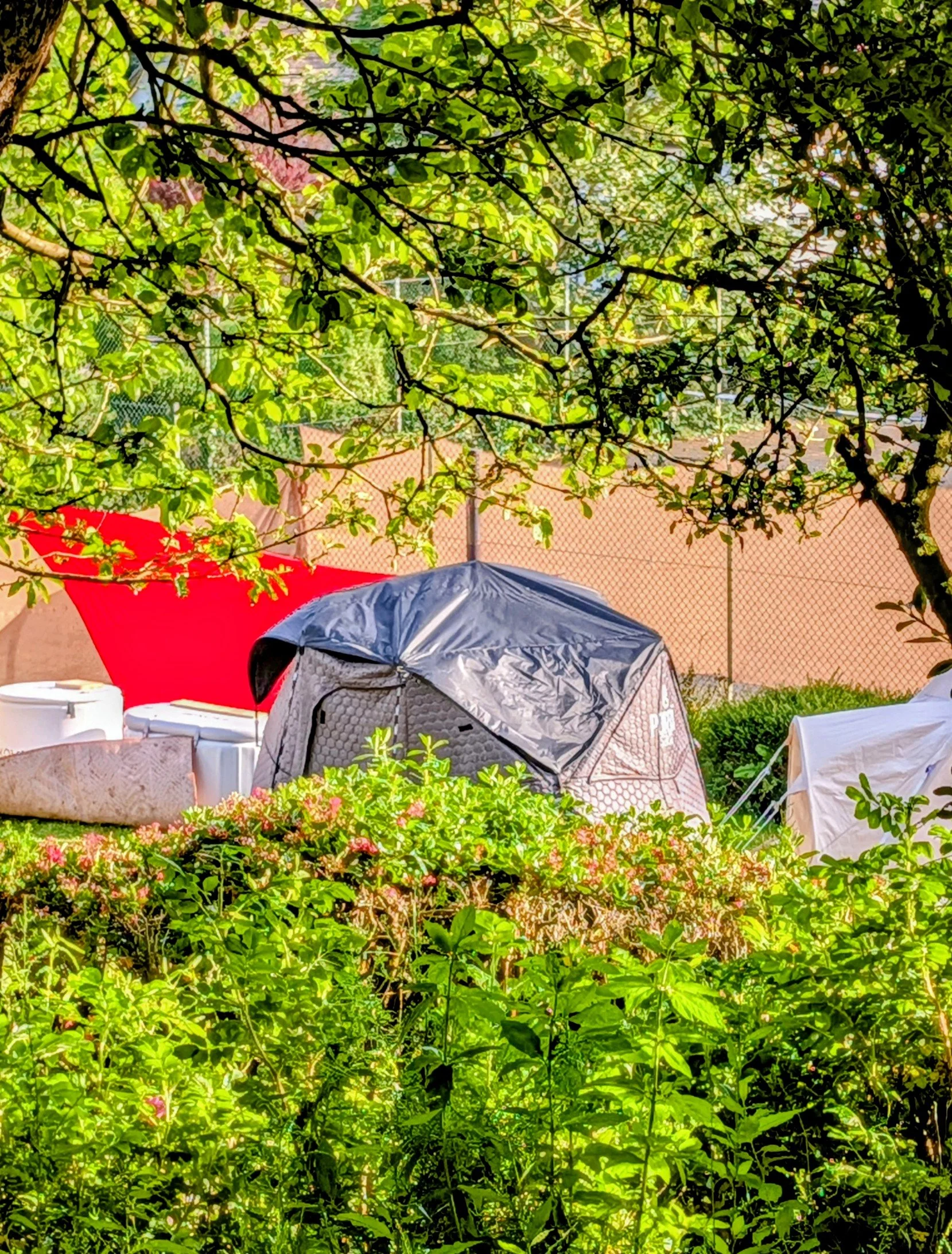 A garden surrounded by lush green trees, umbrellas, and a black sauna tent with white cold plunge baths.