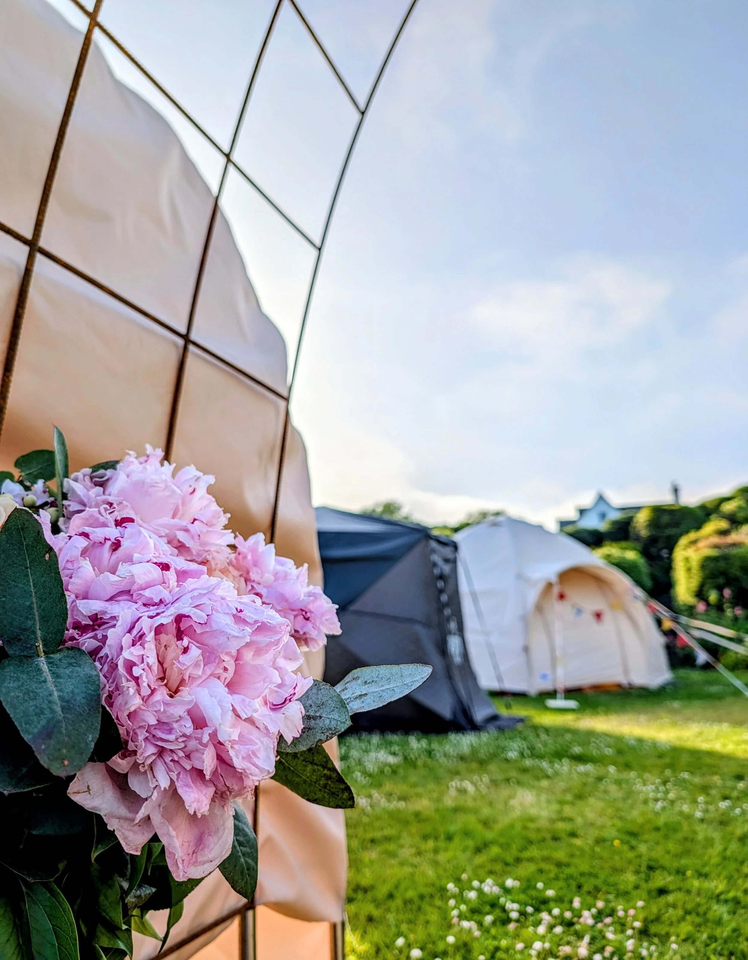 Pink hydrangea flowers in focus at the left foreground with a saunta tent and an outdoor event tent and blue sky in the background.