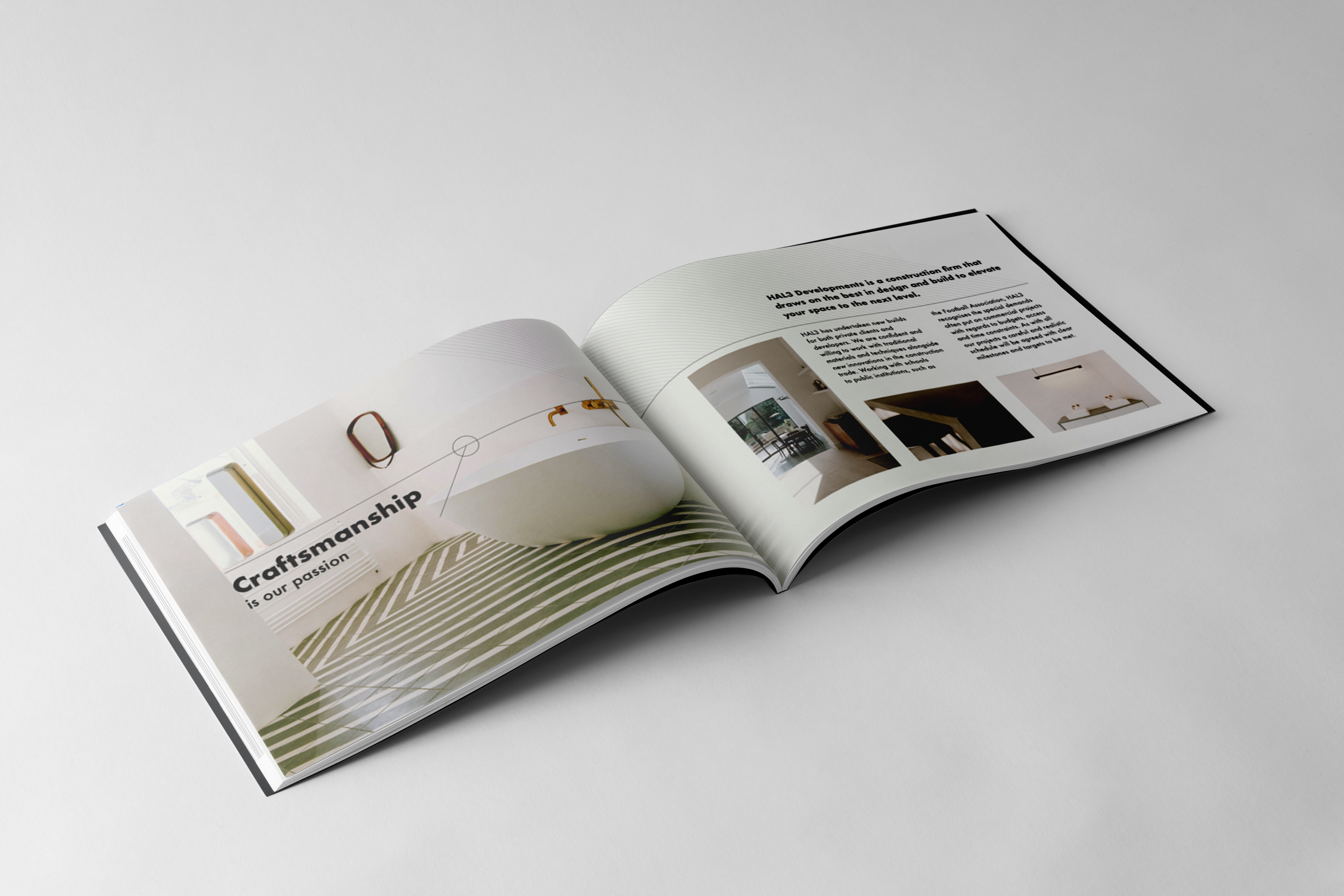 HAL3 brochure DPS 2 mockup.png