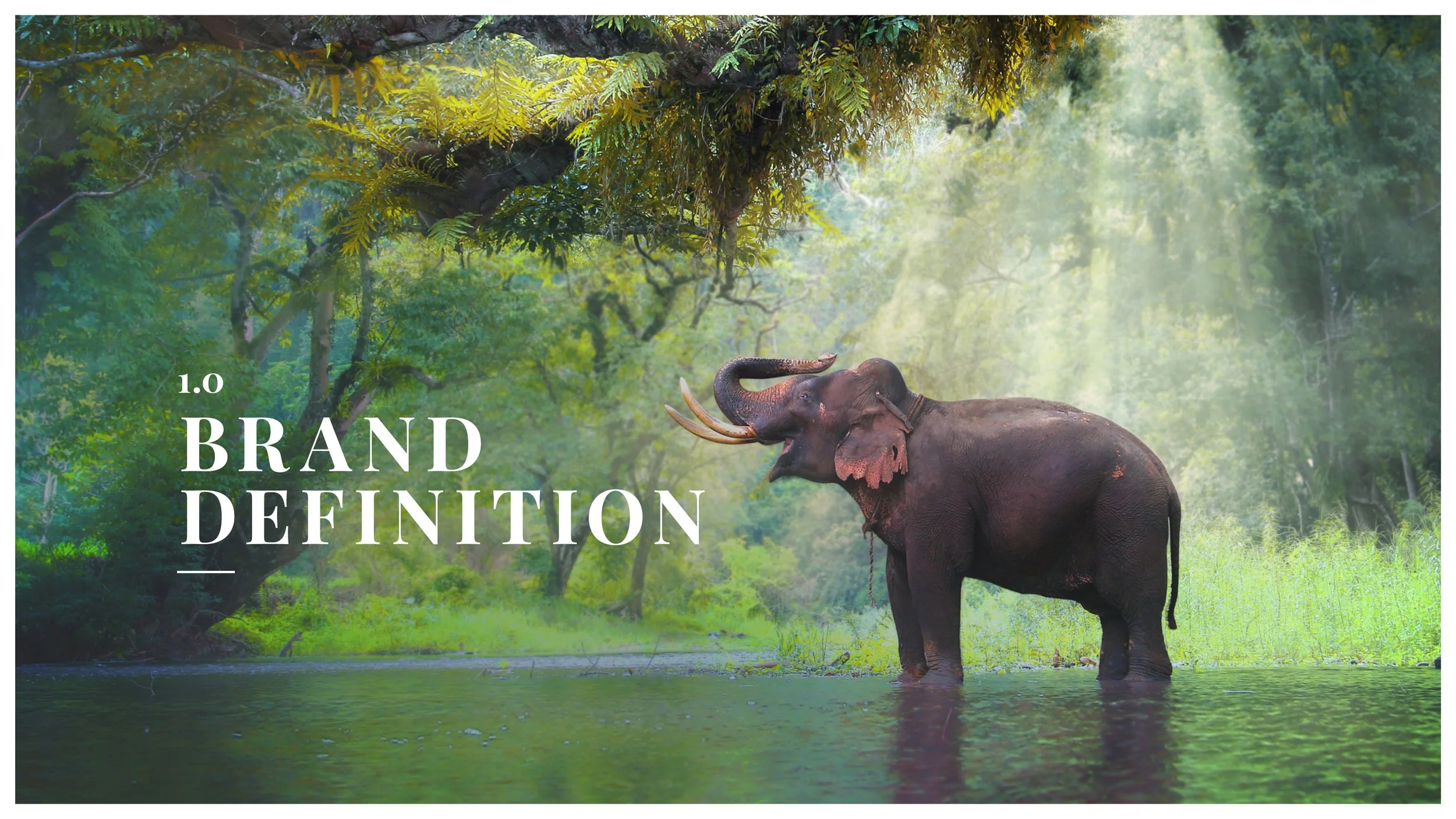 Cox & Kings Brand Guidelines pg3.jpg