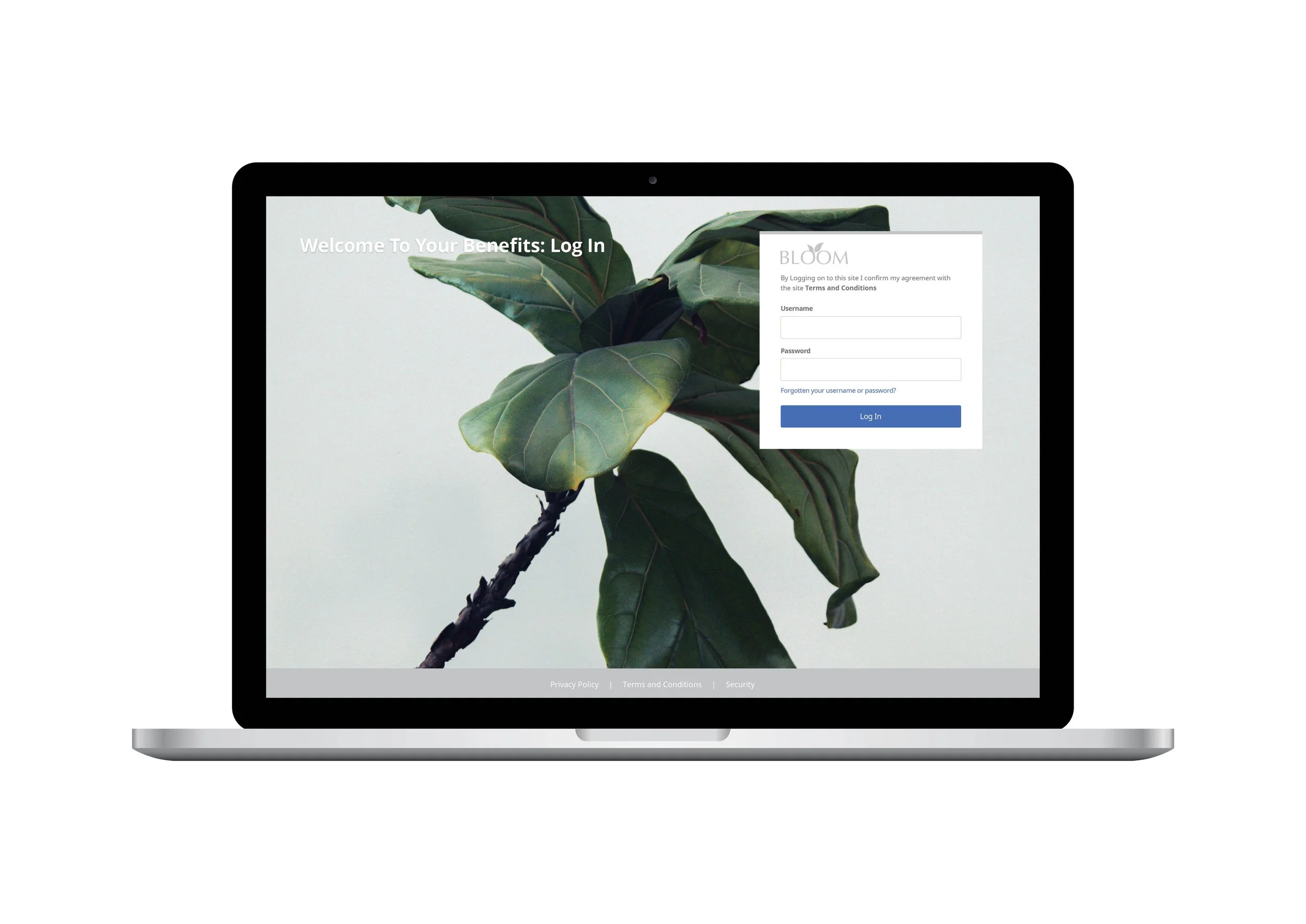 Bloom Benefits for Estée Lauder