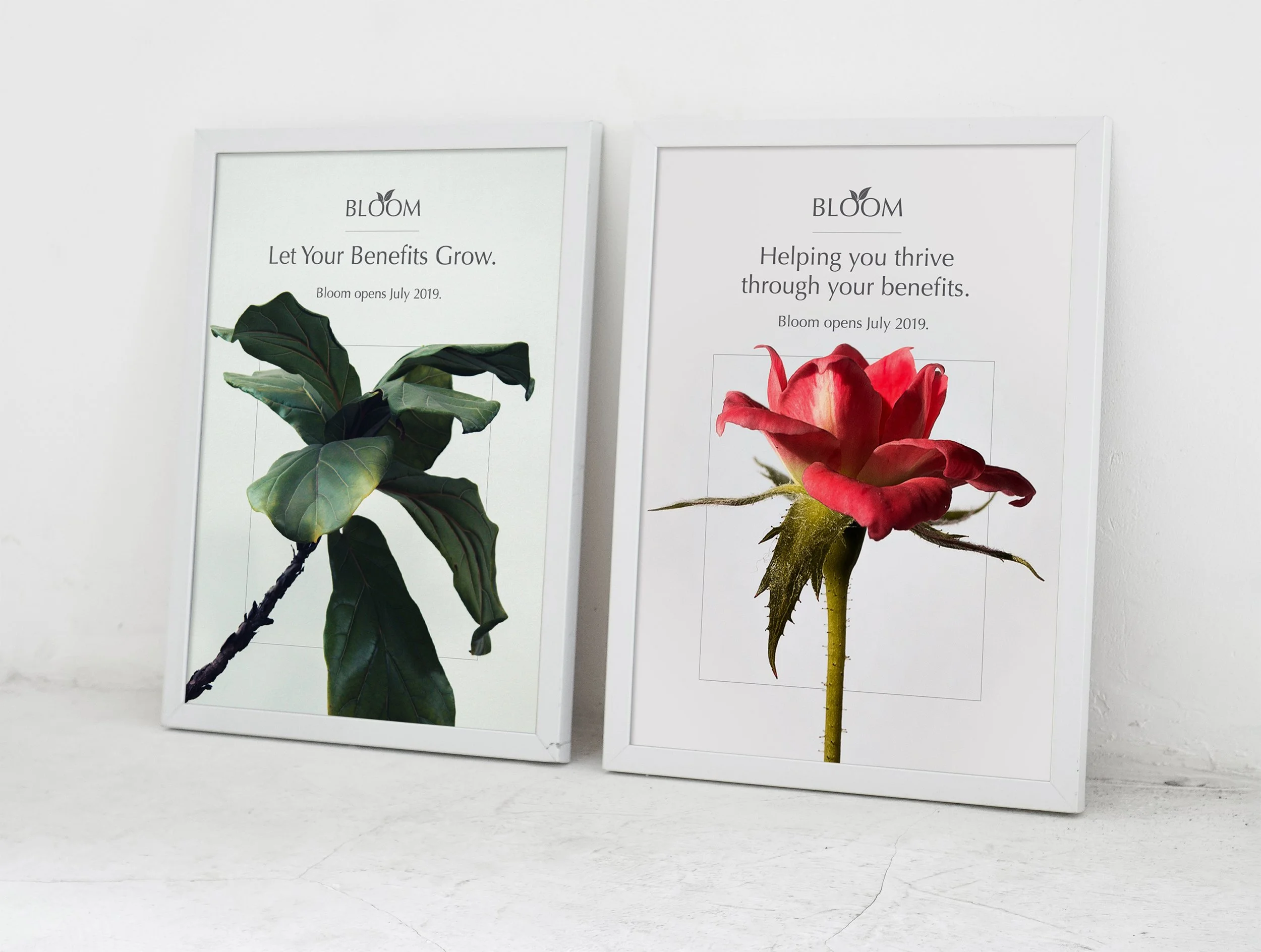 Bloom Benefits for Estée Lauder