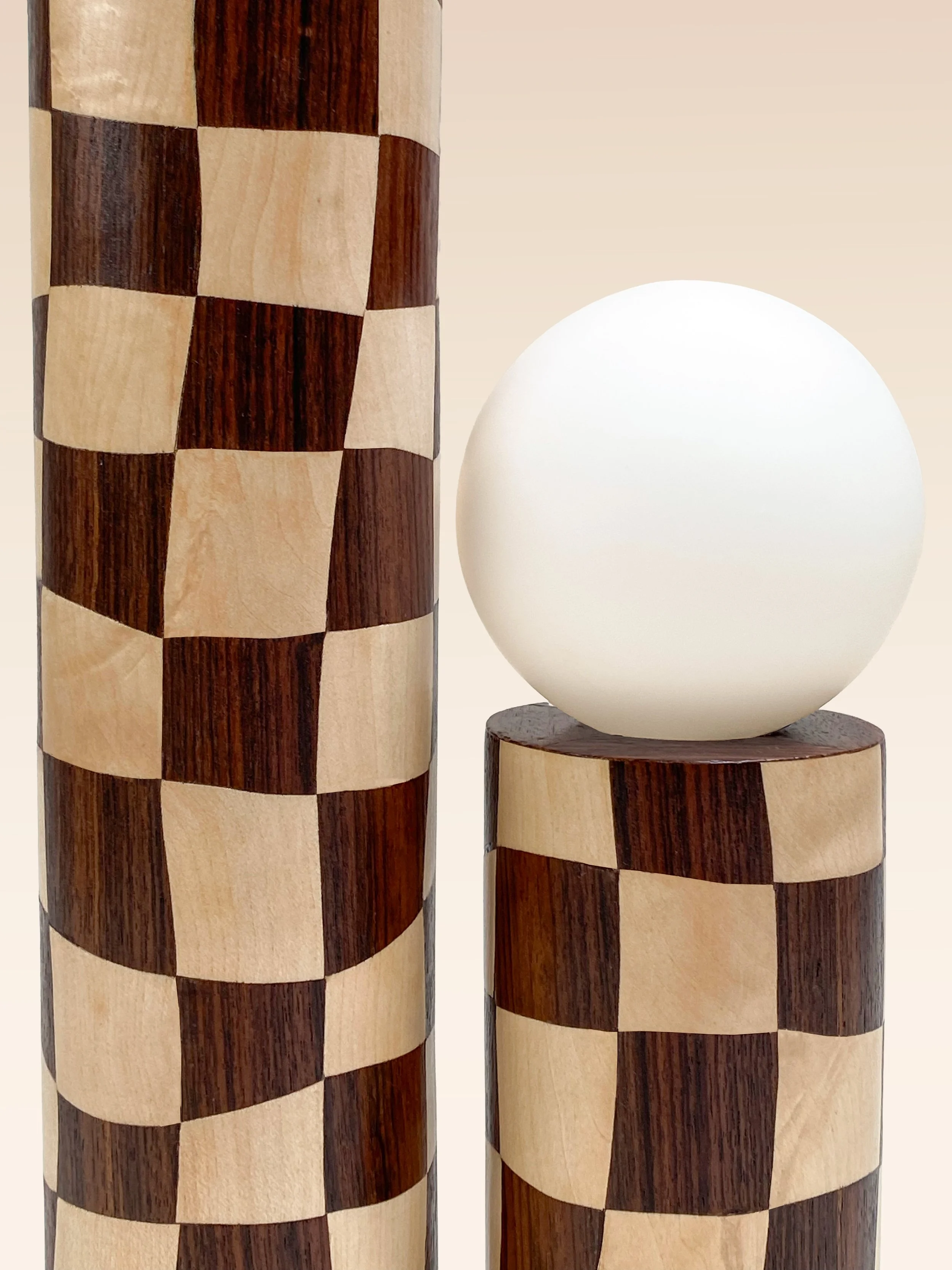 bisou gros plan book.jpg