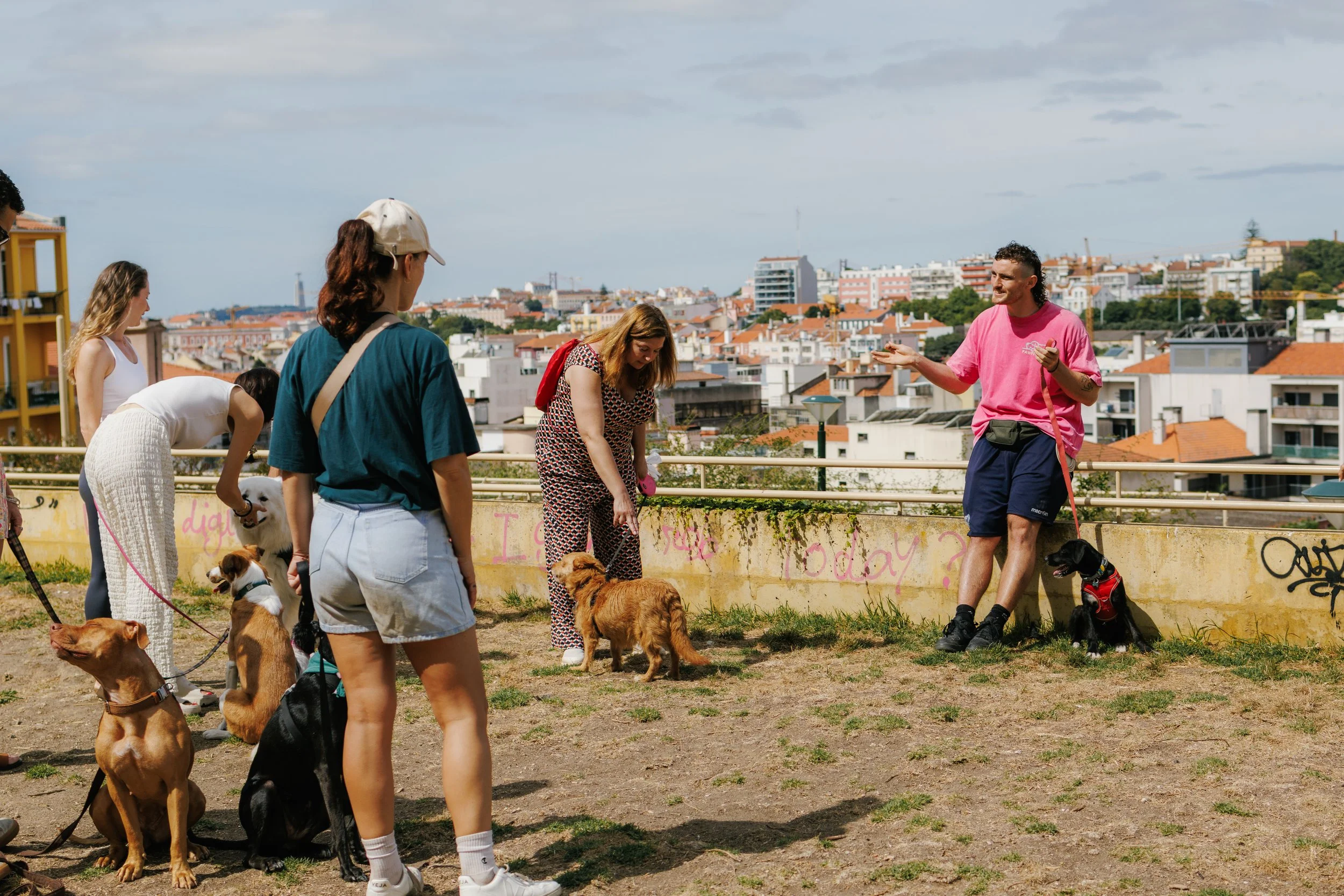 A group of people with dogs on a rooftop during daytime, with city buildings in the background. One person is giving commands to their dog while others observe.