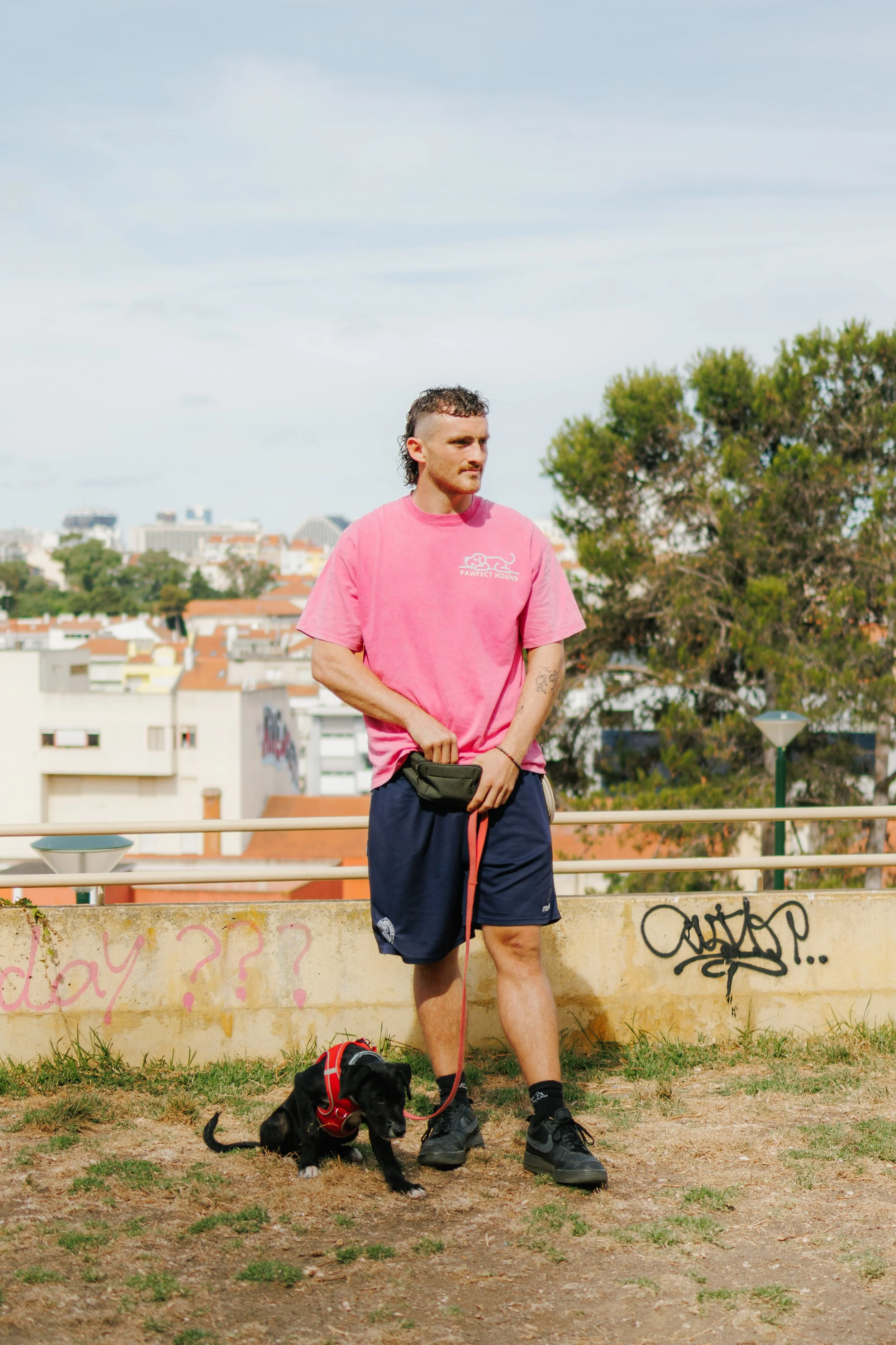 A man wearing a pink T-shirt, navy shorts, and black shoes holding a leash attached to a small black puppy in a red harness, standing outdoors on a grassy area with graffiti on a low wall and a cityscape in the background.