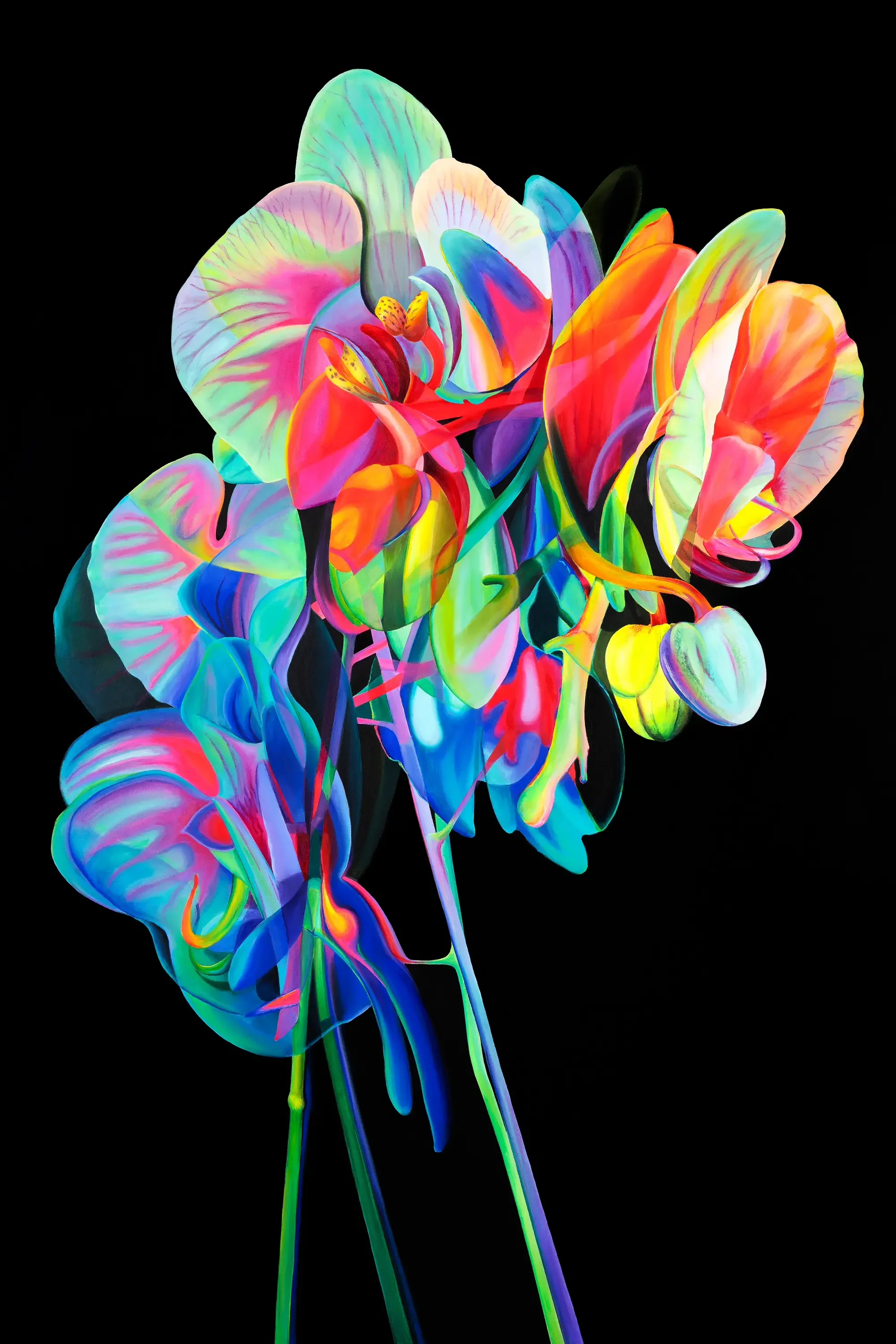 Colorful neon-like orchids against a black background.