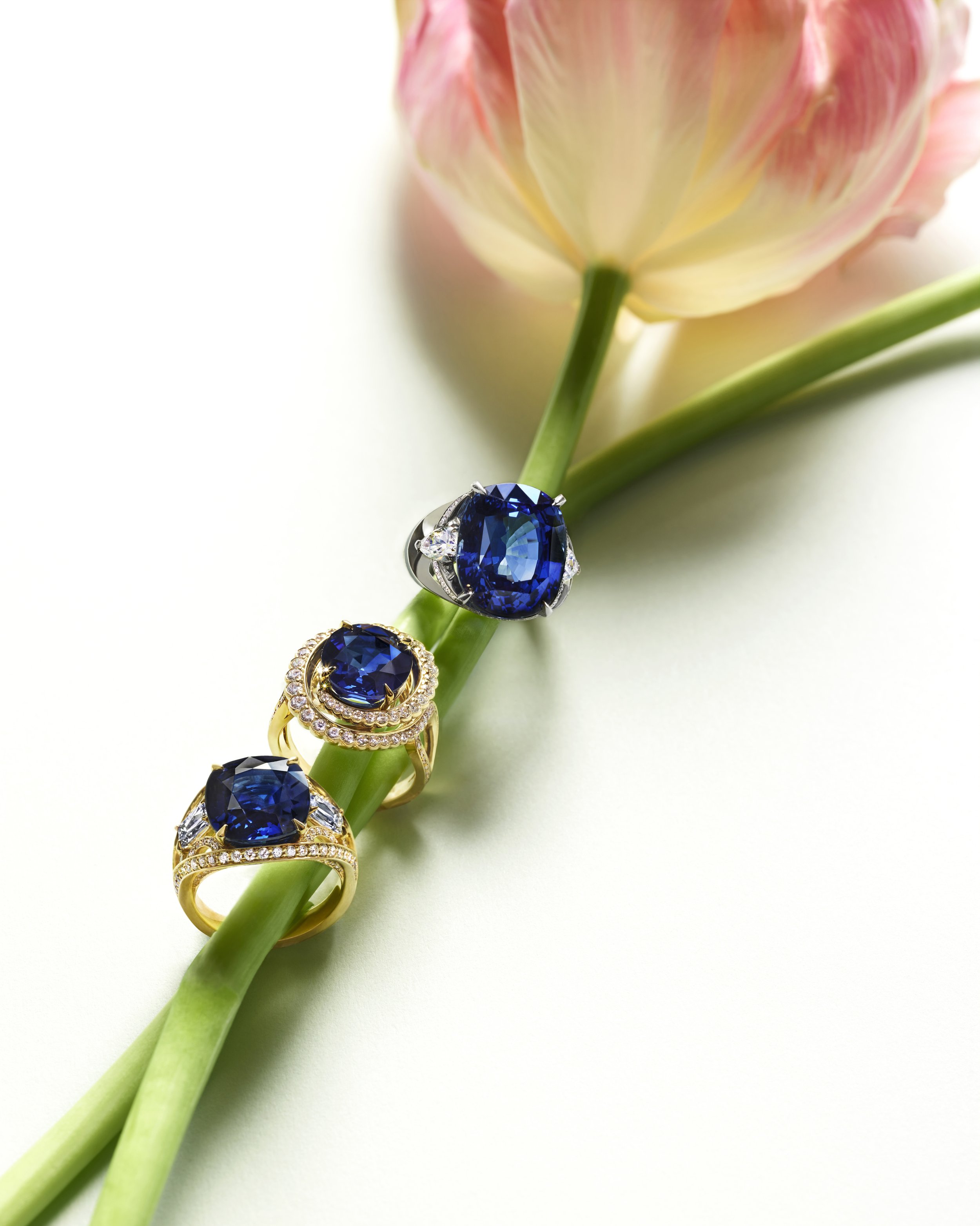 08_Sapphire_Rings_344_Main_rough_ret copy.jpg