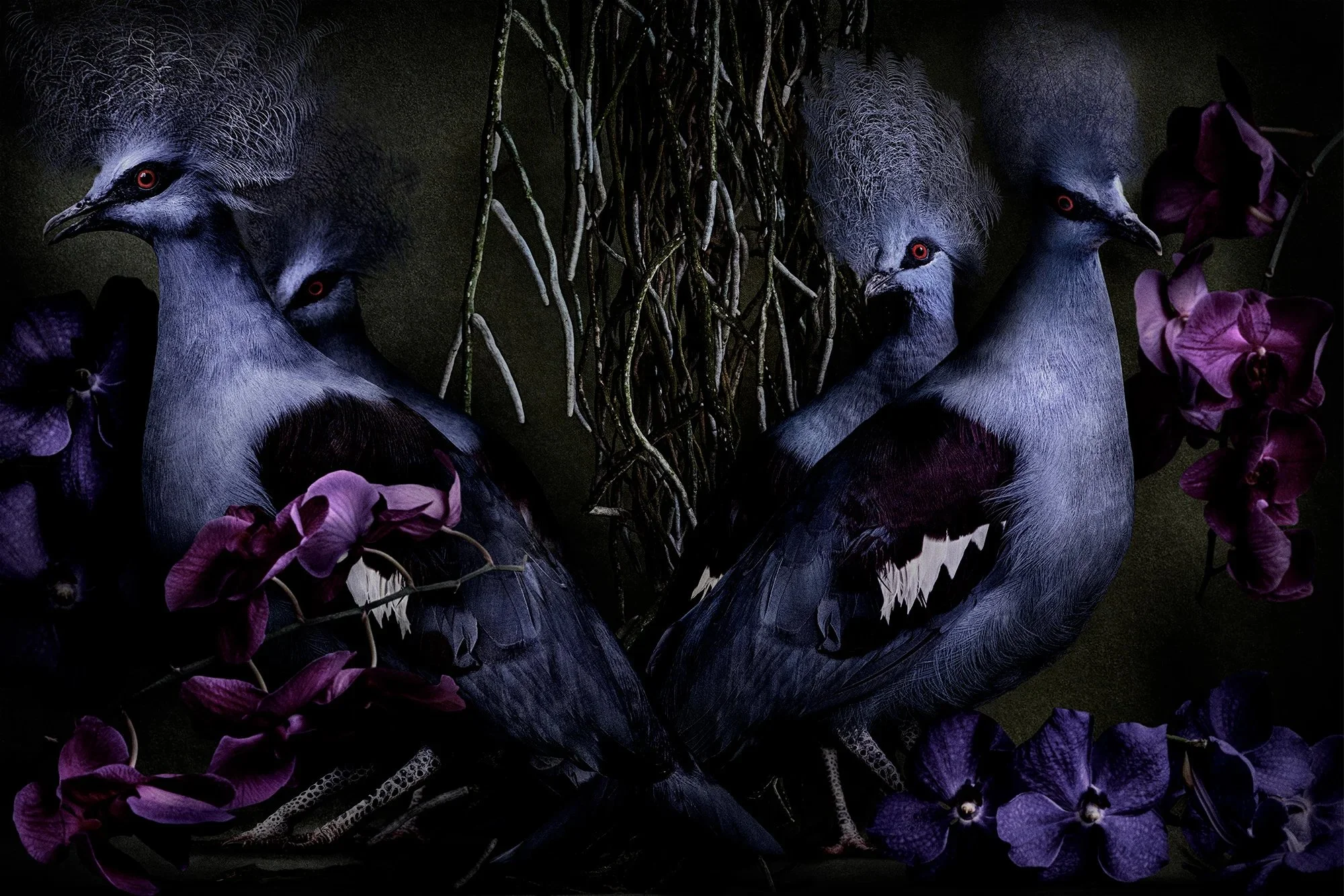 ecdc7256485373c85f28dccc0f77c466 copy.jpg