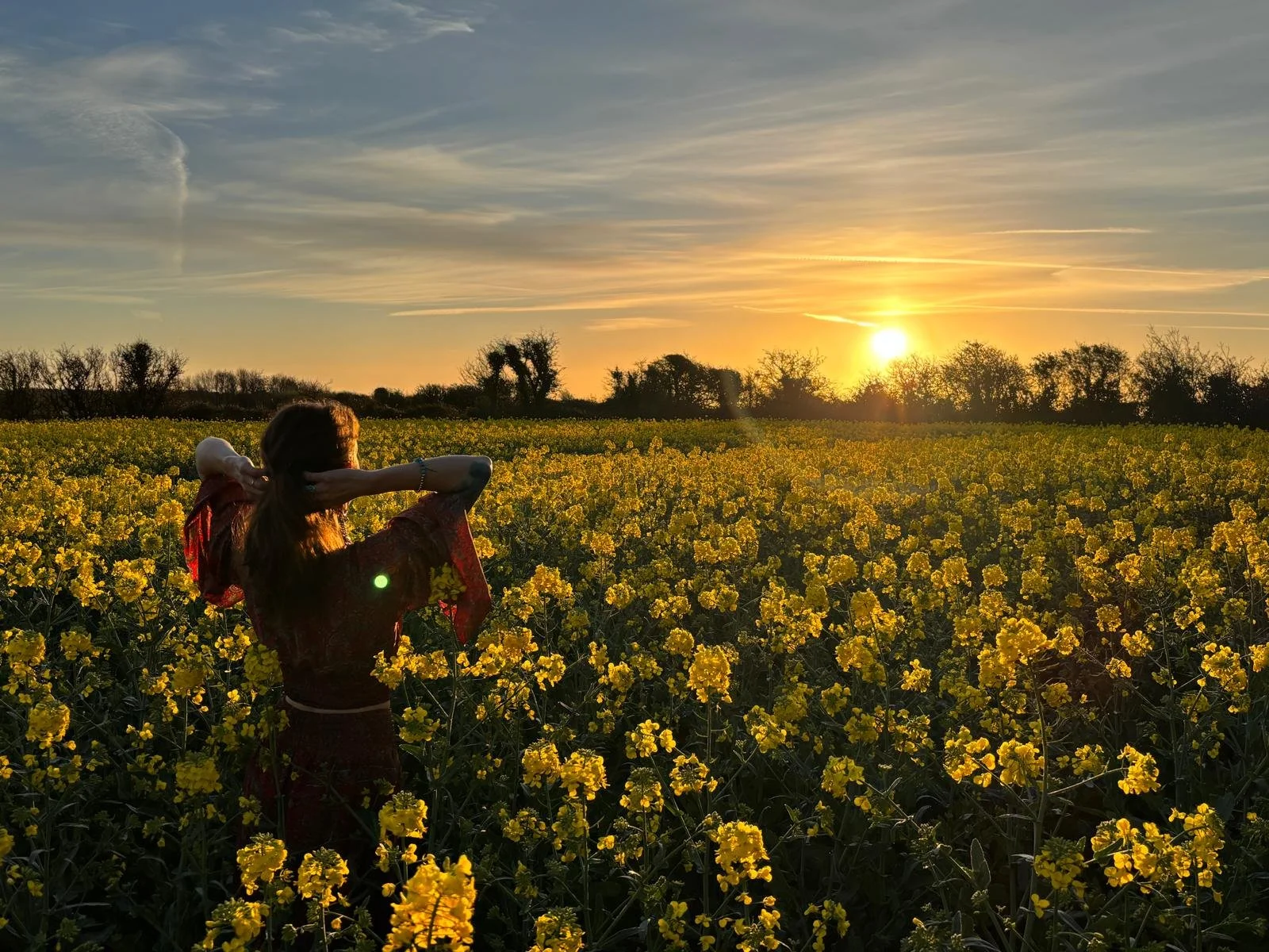 A woman stands in a field of yellow flowers during sunset, facing away and adjusting her hair with her arms raised.