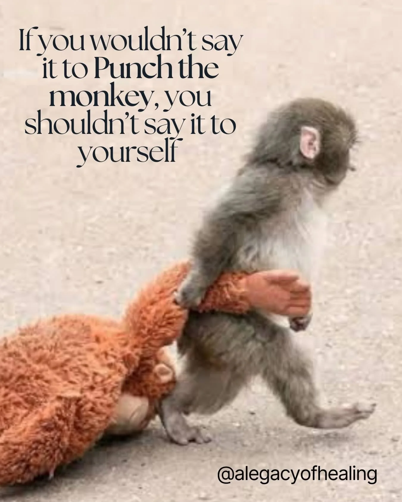 Ok, you guys, this is it! I finally figured it out. 

This is how we improve our self-talk.
This is how we quiet our inner critic.
This is how we build our inner loving parent voice.

Look at Punch. Sweet, perfect little baby Punch. We all love him s