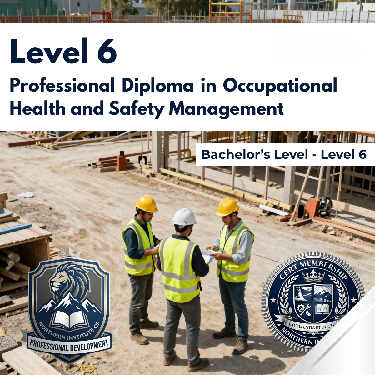 ICON for L6 OHS Diploma.png