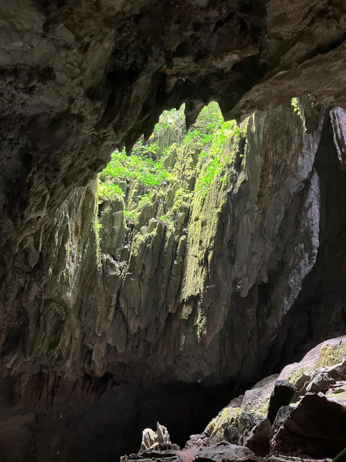 Mulu, Sarawak, Malaysia