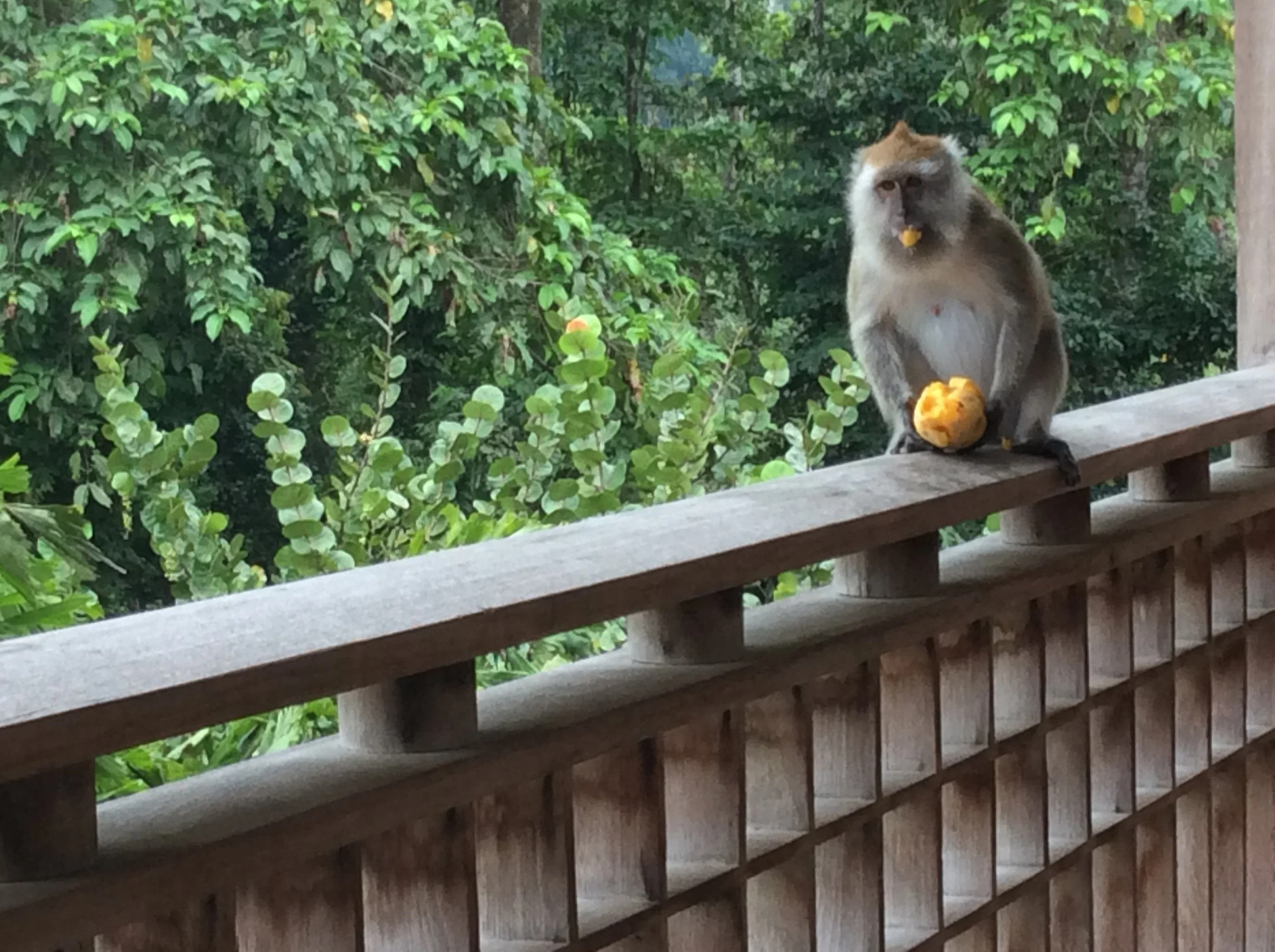 Amusing Tales from a life of travel