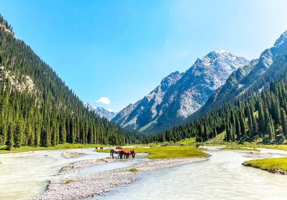 Kyrgyzstan and Kazakhstan