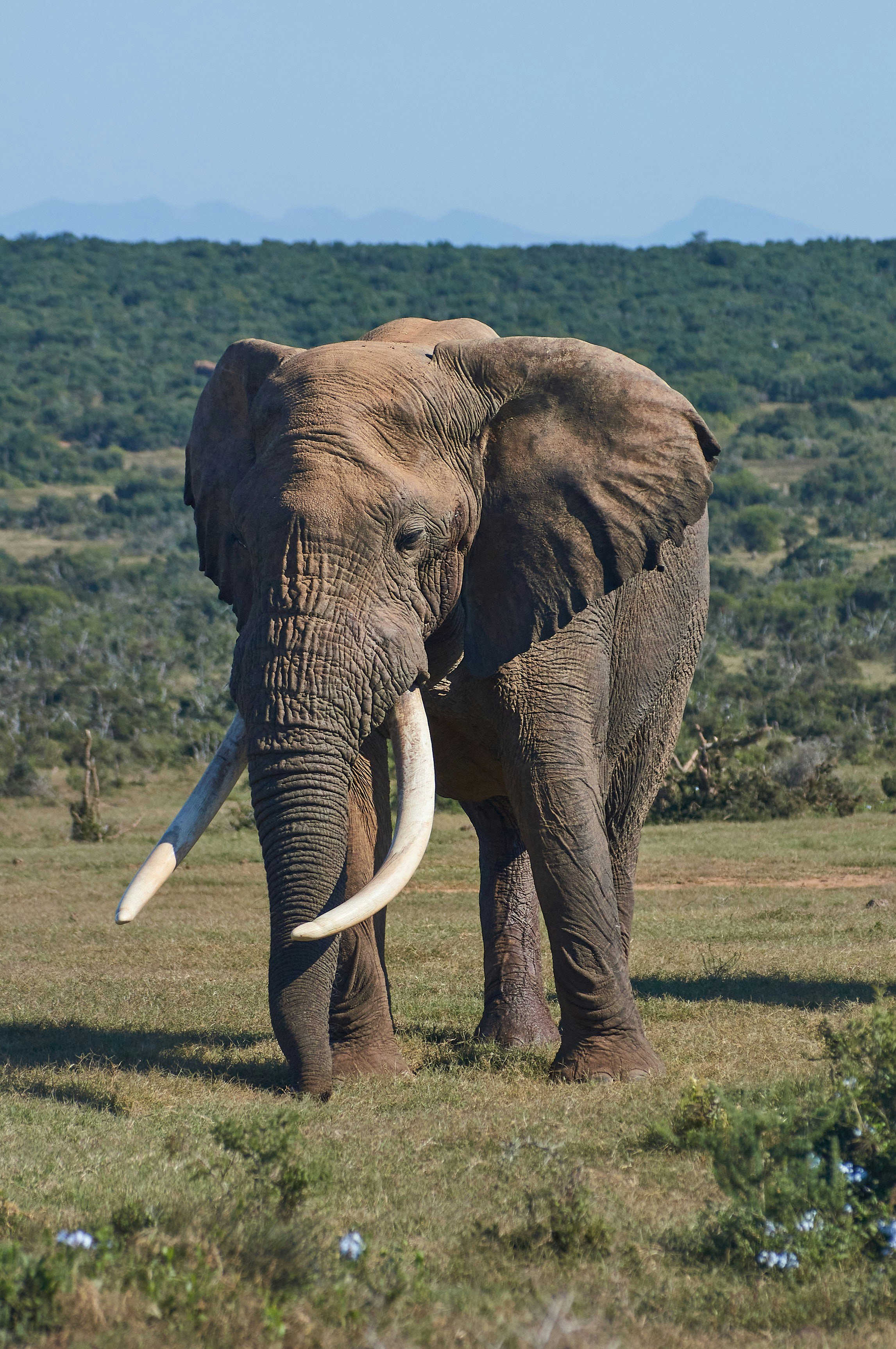 Kenya