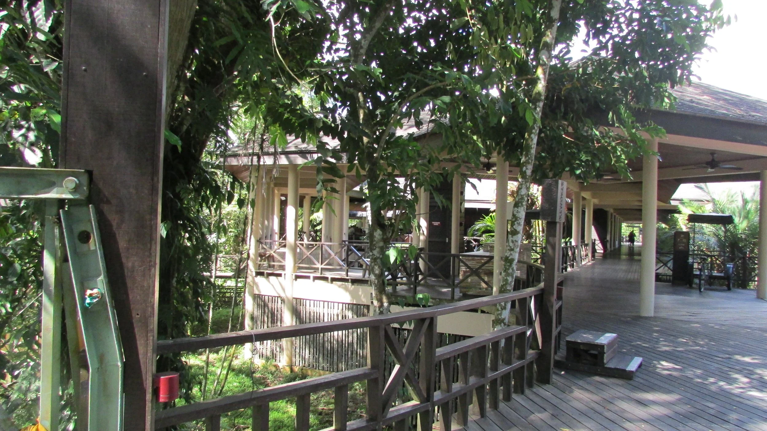 Mulu National Park