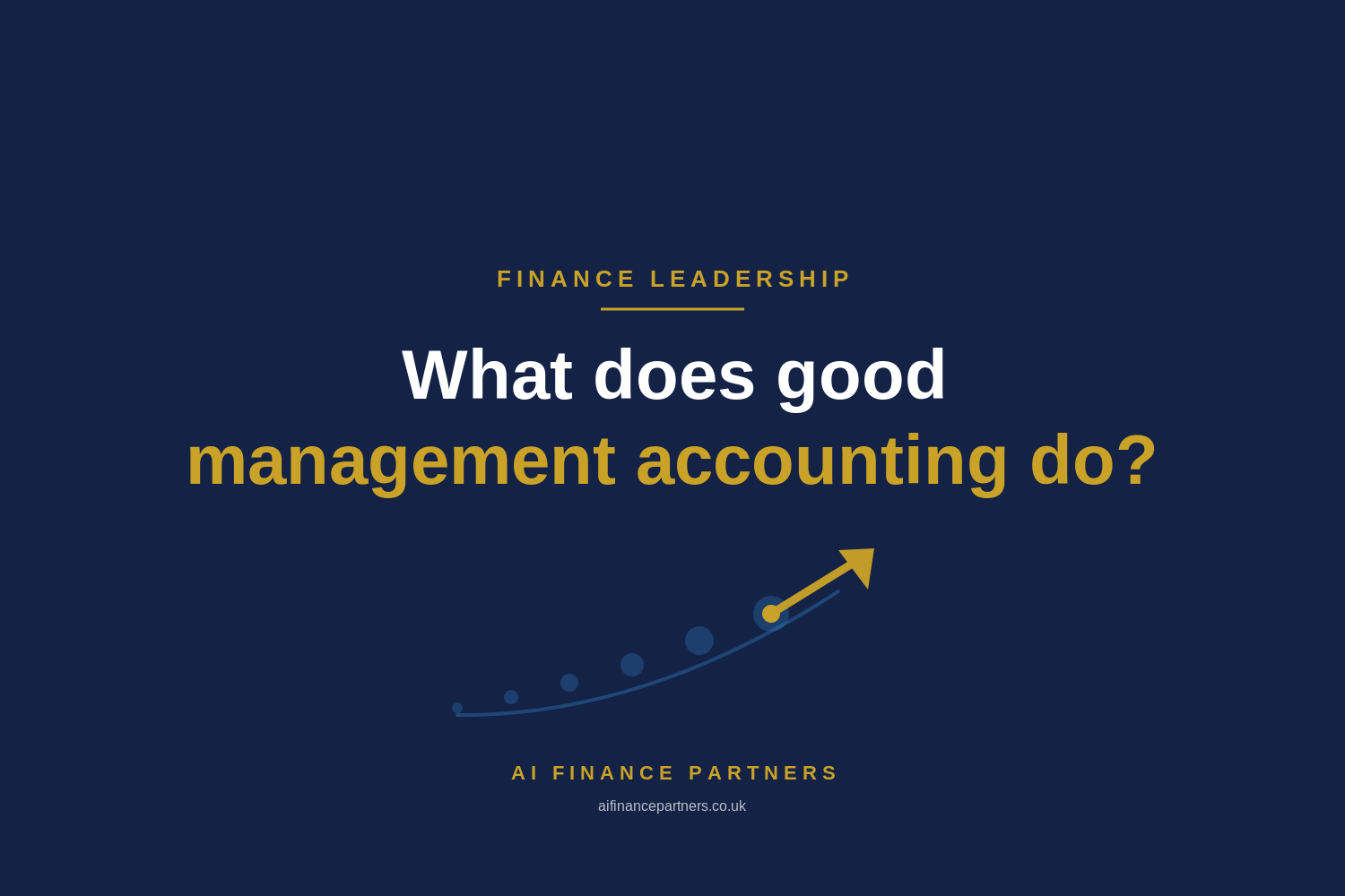 What Does A Good Management Accountancy Function Look Like?