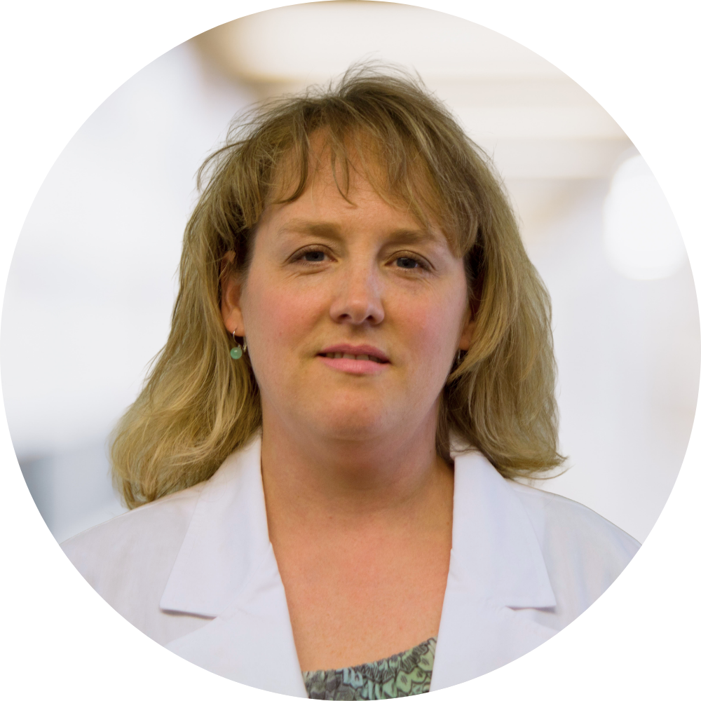 Lori Hayes, RN, BSN, Accountant