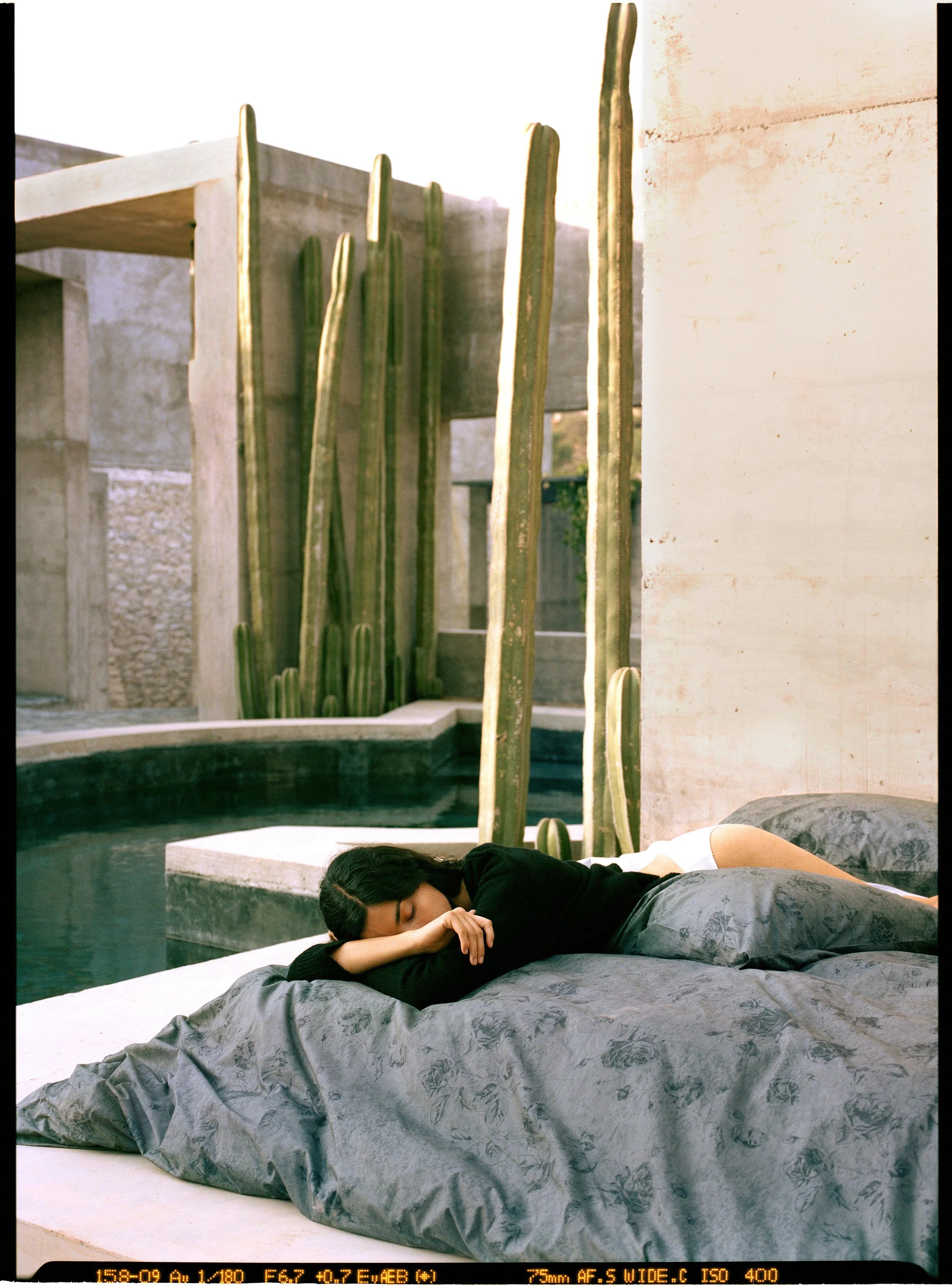 SP21_HOME_4_R300.jpg