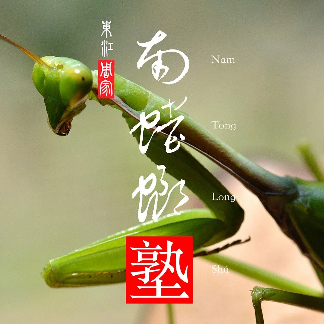 Chow Ga Southern Praying Mantis Kung Fu
