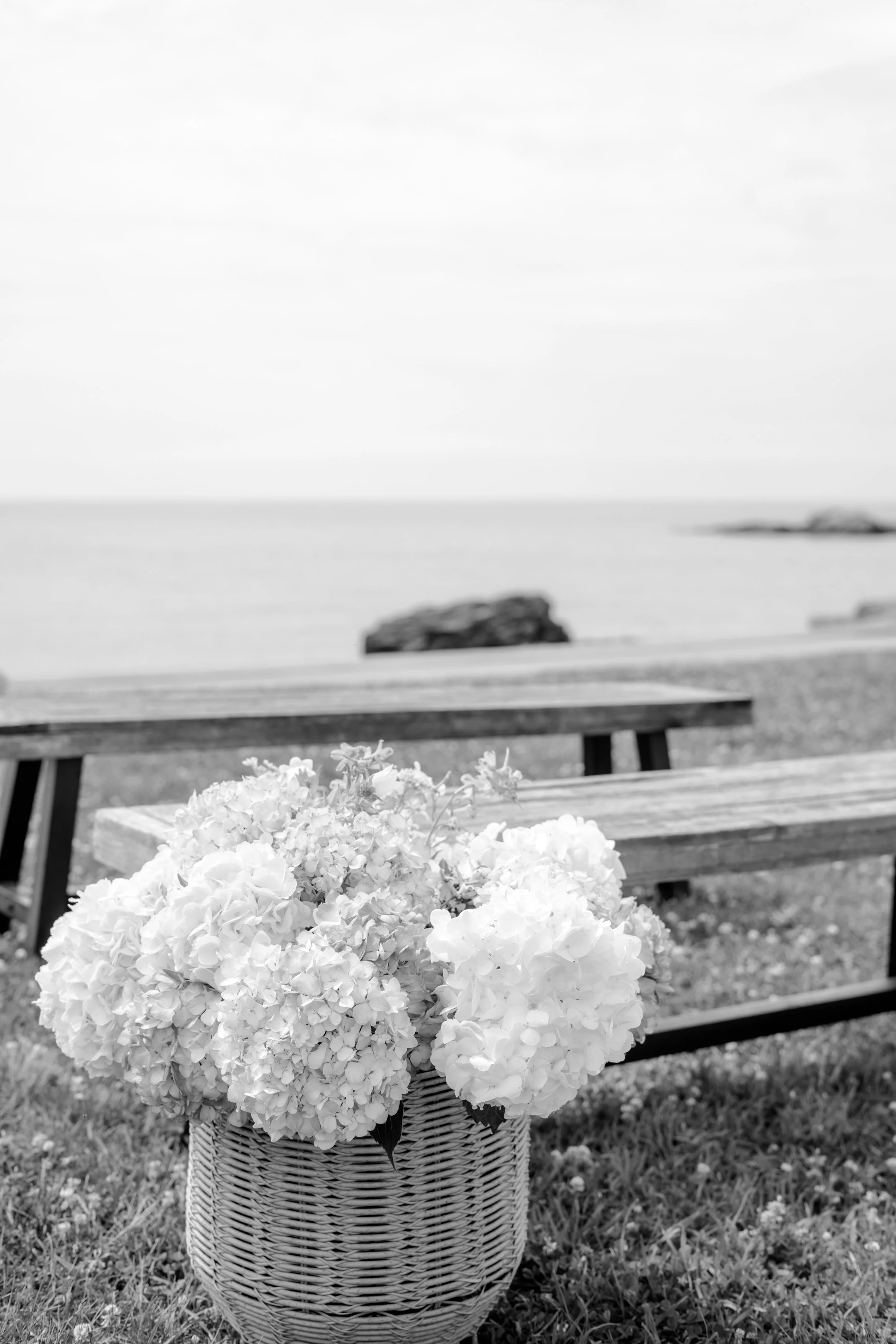 DSC04936.jpg