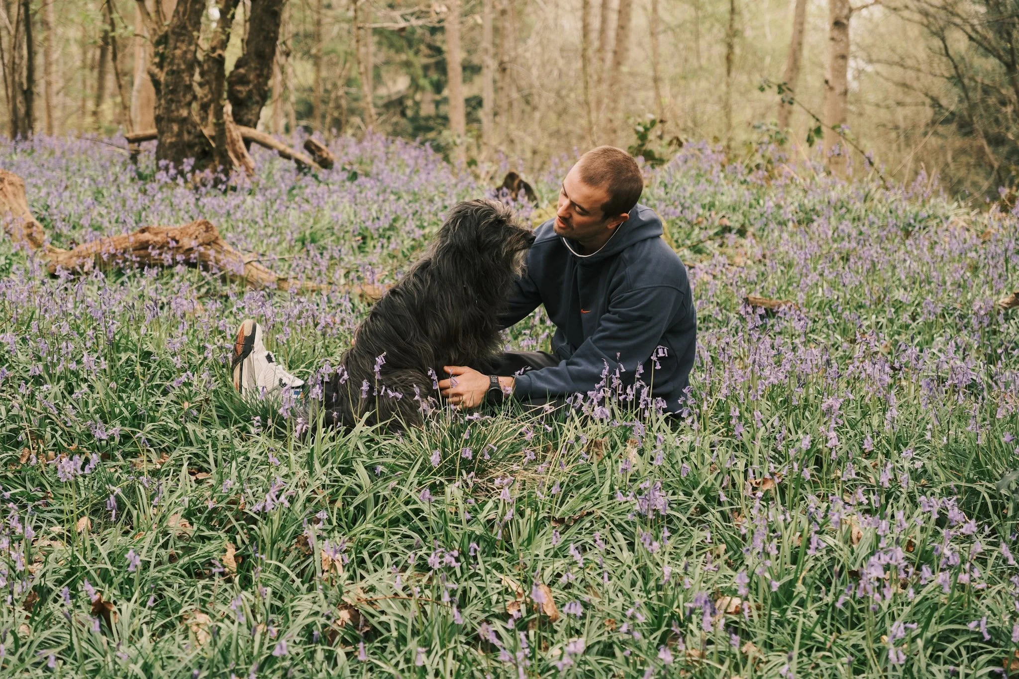 Engagement Shoots in the Bluebell Forests of Hampshire: A Complete Guide