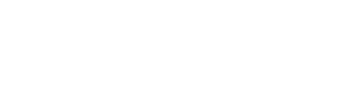 THE [PRIVACY] COACH