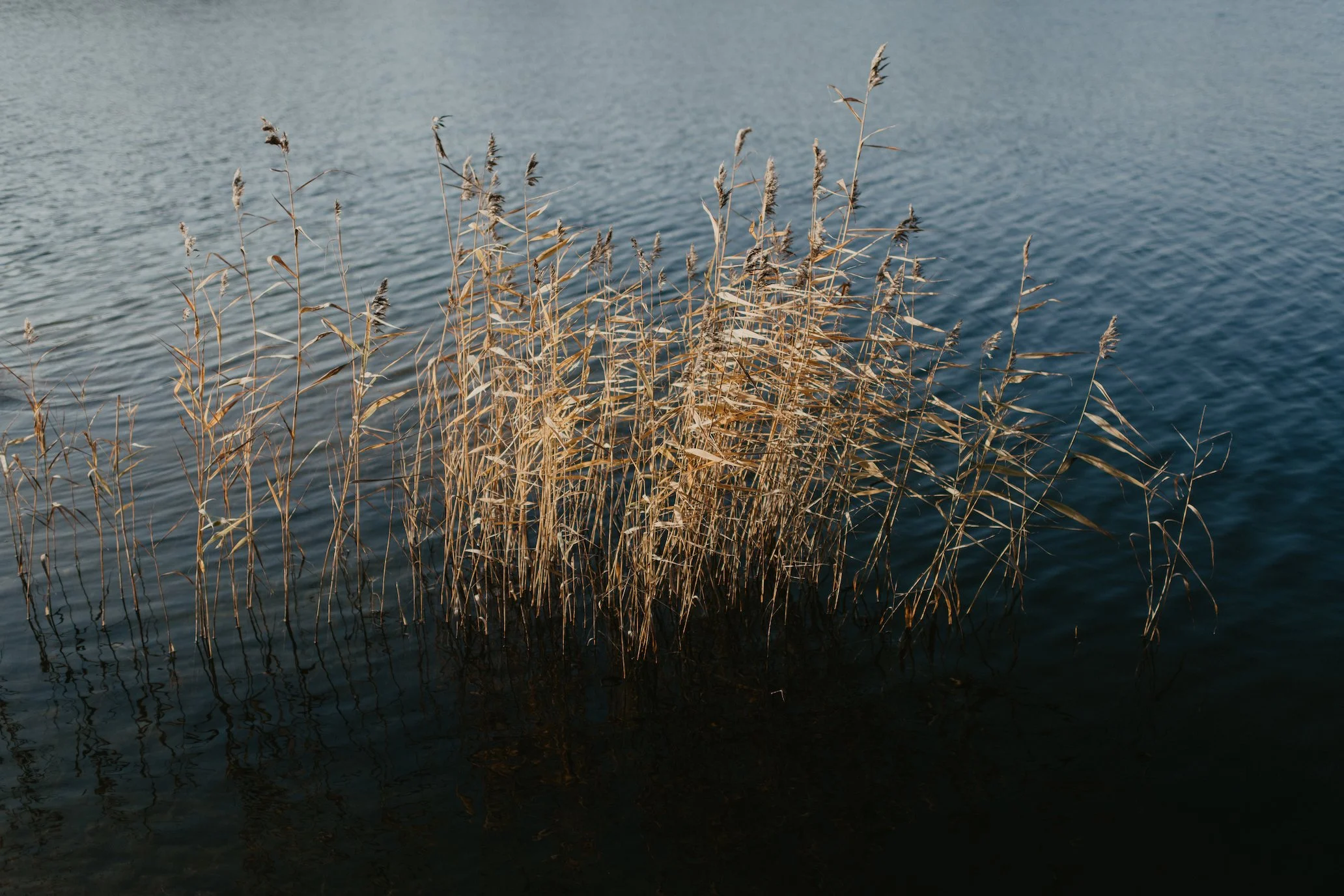 Workshop: Achtsam &amp; gelassen im Arbeitsalltag (über AWO)