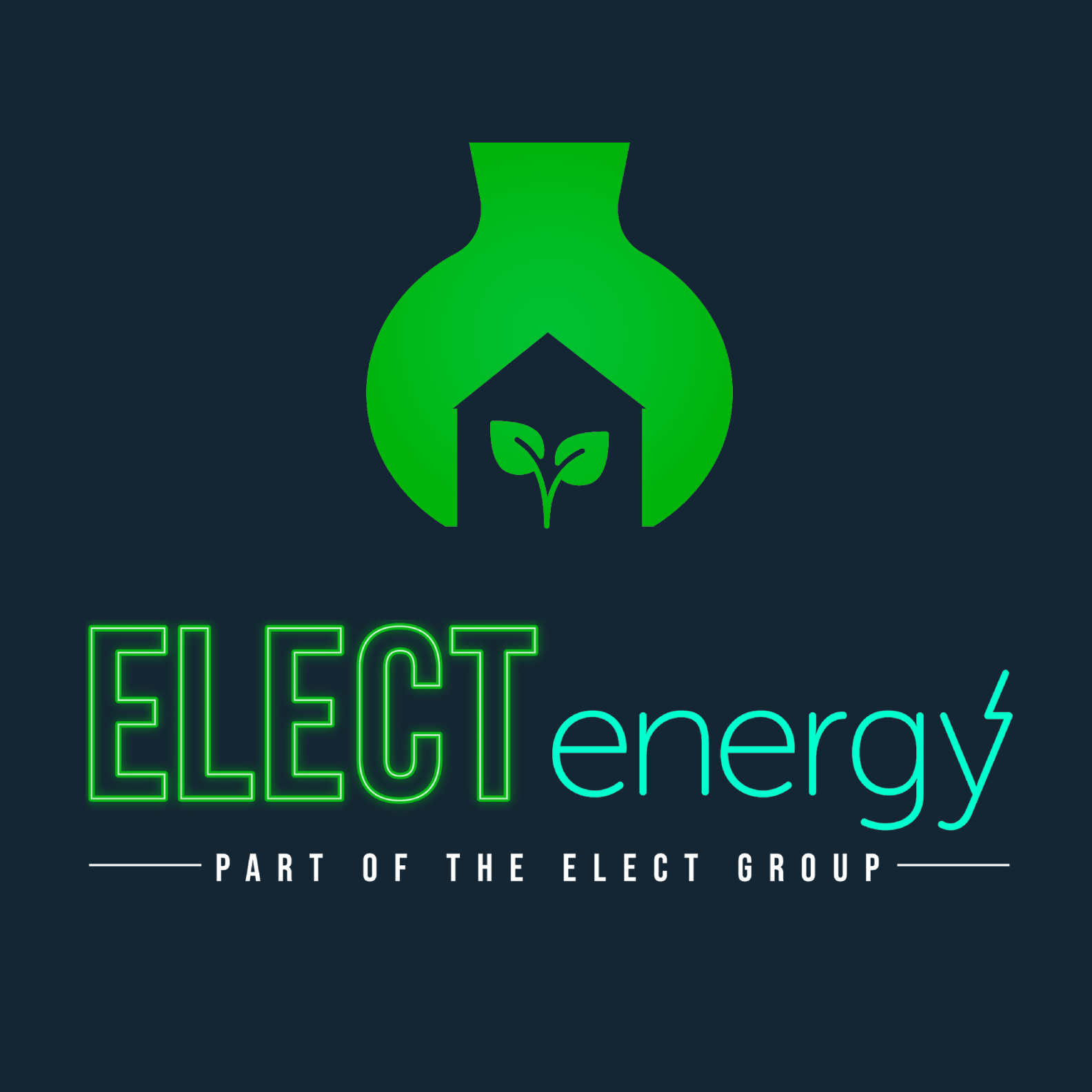 Neon sign promoting clean energy with a green bulb containing a house and leaf symbol, and the text 'ELECT clean energy' with additional text 'PART OF THE ELECT GROUP'.