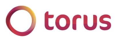 Torus logo featuring a stylized circular design and the word 'torus' in bold lowercase letters.