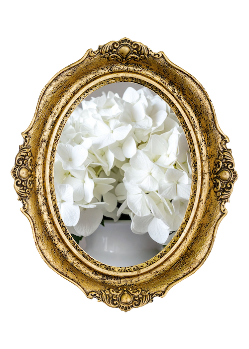 Golden ornate oval mirror reflecting white hydrangea flowers in a white container.