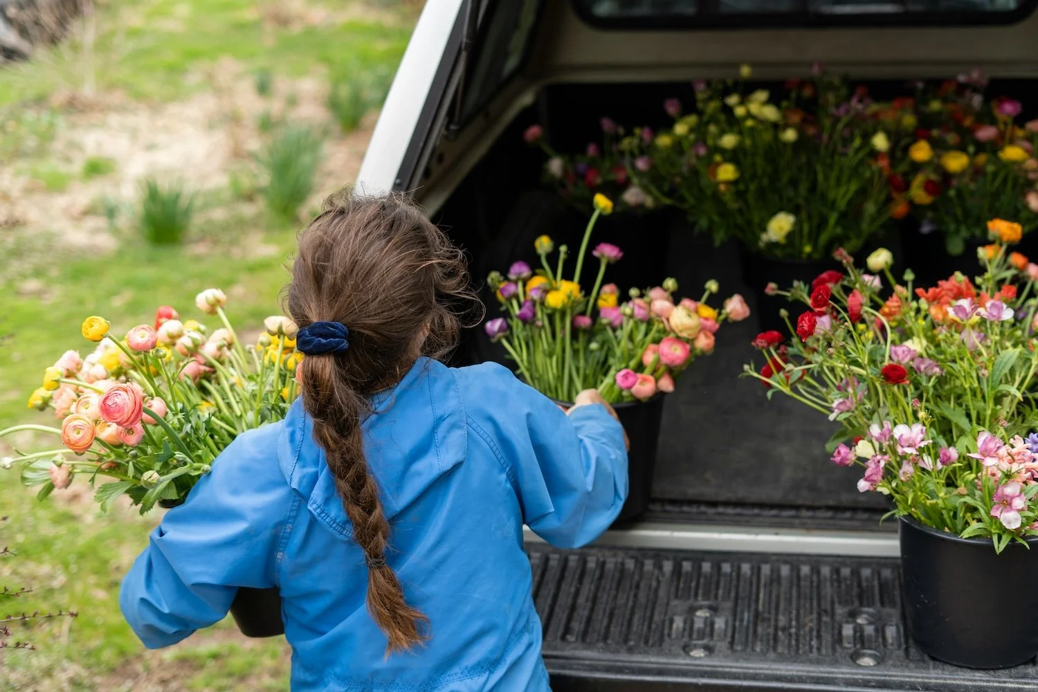 Why I’m Starting a Cut Flower Farm