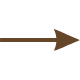 Close-up of a brown arrow pointing to the right.