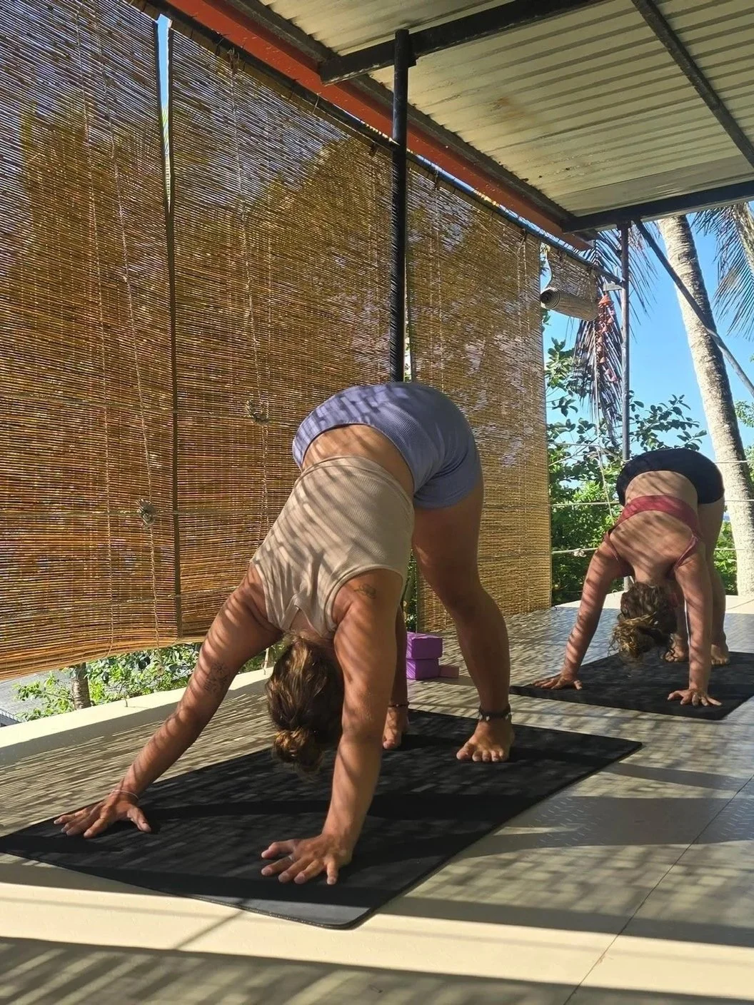Two women practicing yoga outdoors on black mats, both in downward dog pose, with sunlight and a bamboo fence casting shadows on them, and palm trees and blue sky in the background.