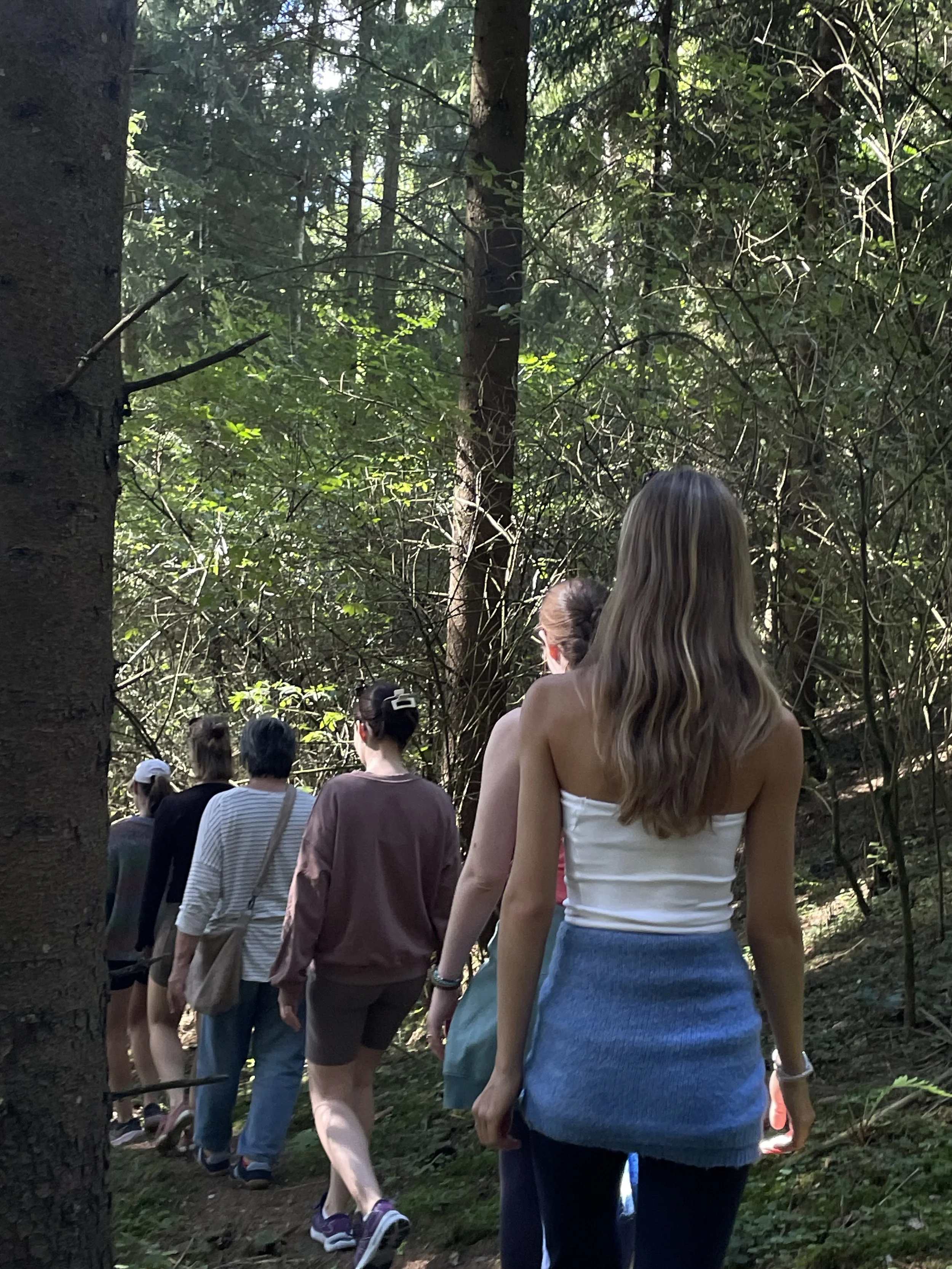 silent meditation hike