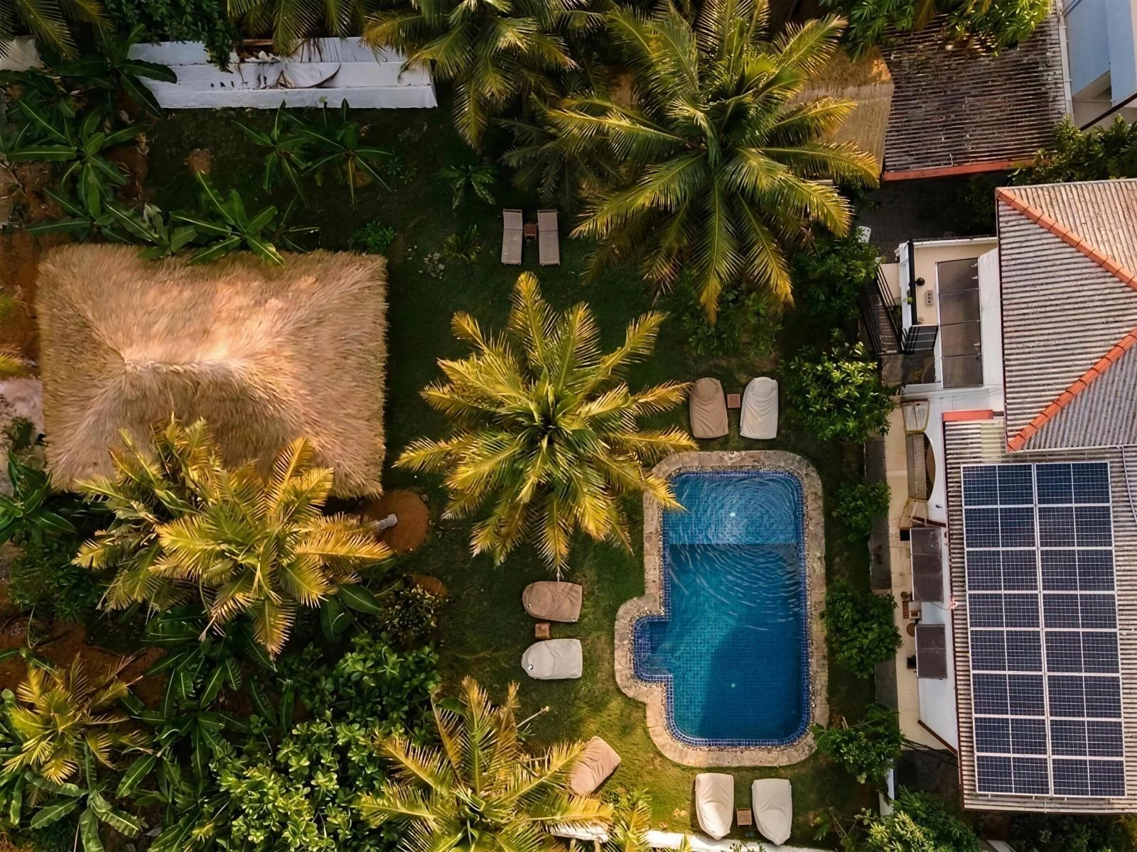 An aerial view of a backyard with a swimming pool surrounded by green grass and palm trees. There are lounge chairs and a thatched-roof structure nearby.