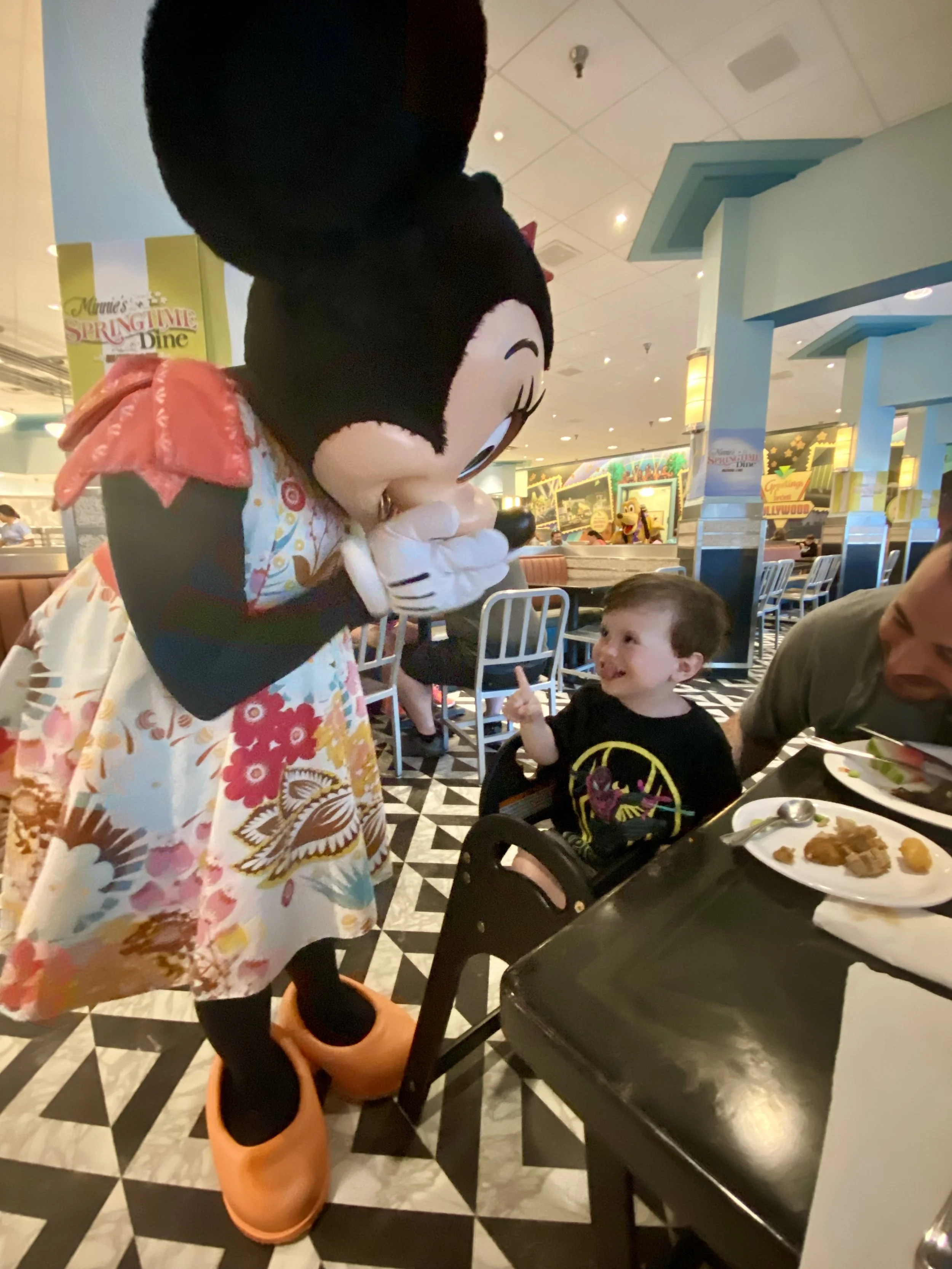 Pictured: Hollywood and Vine at Disney’s Hollywood Studio
