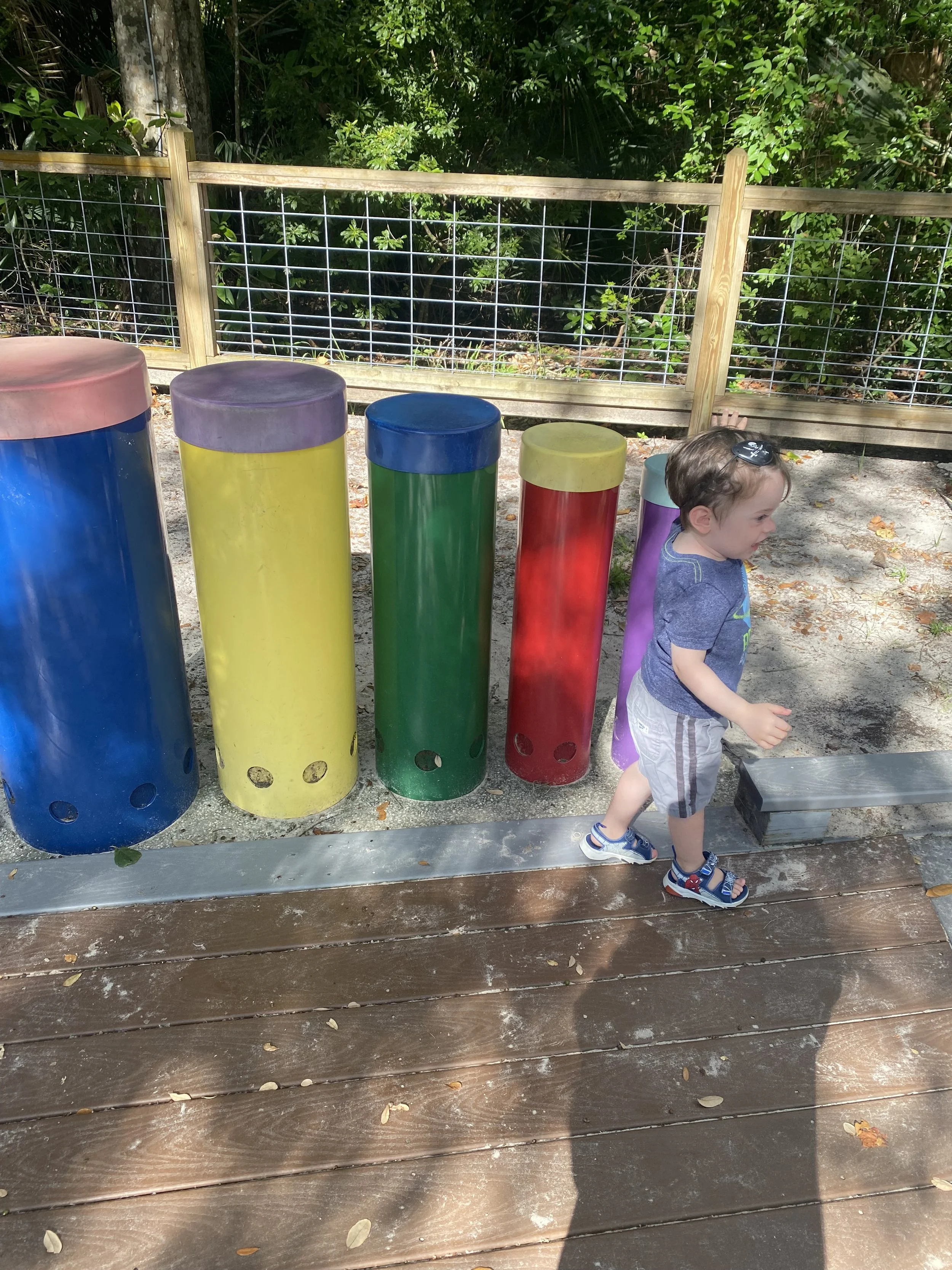 IMG_7021.jpeg